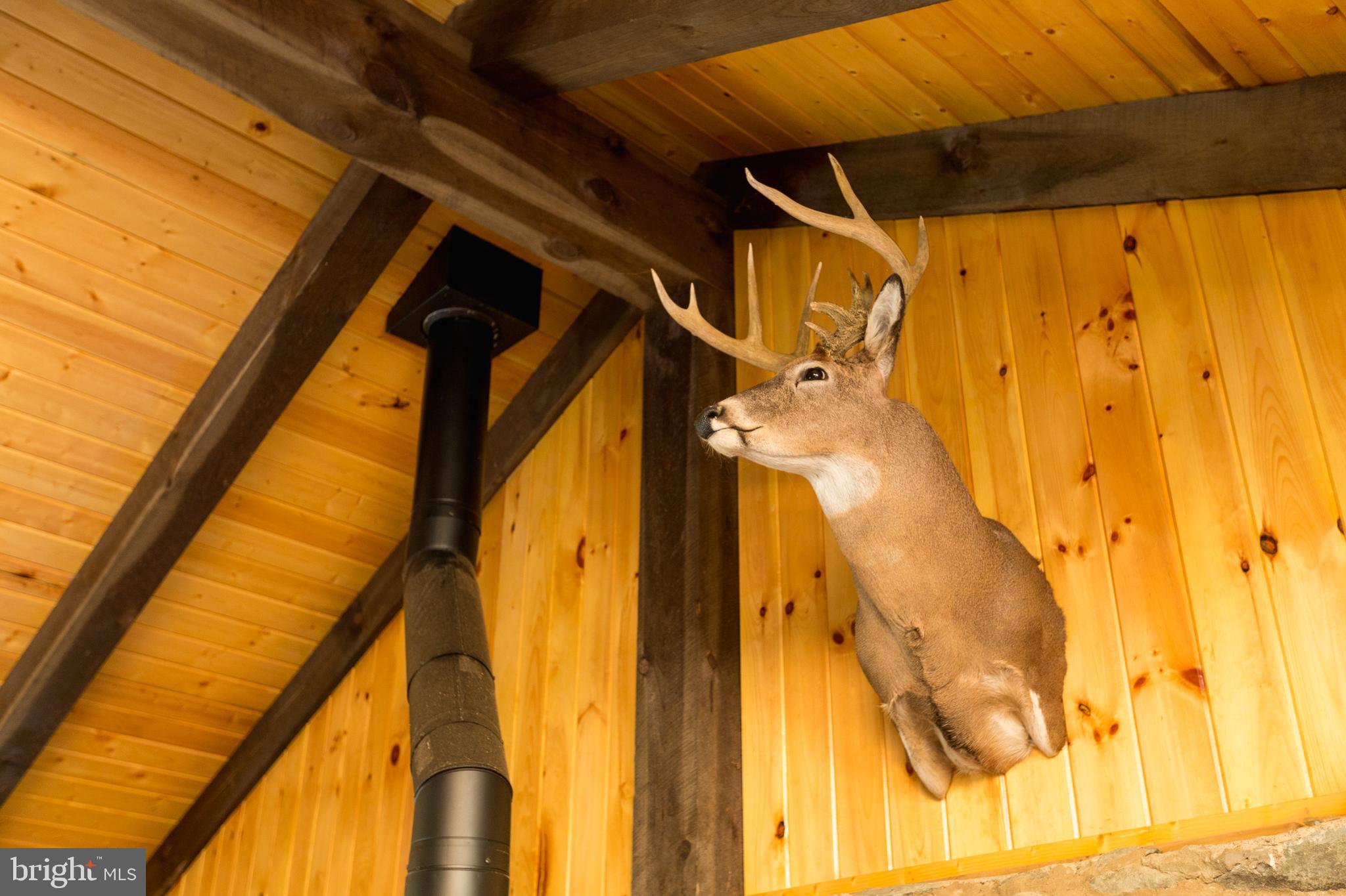 BLUEMONT - Residential