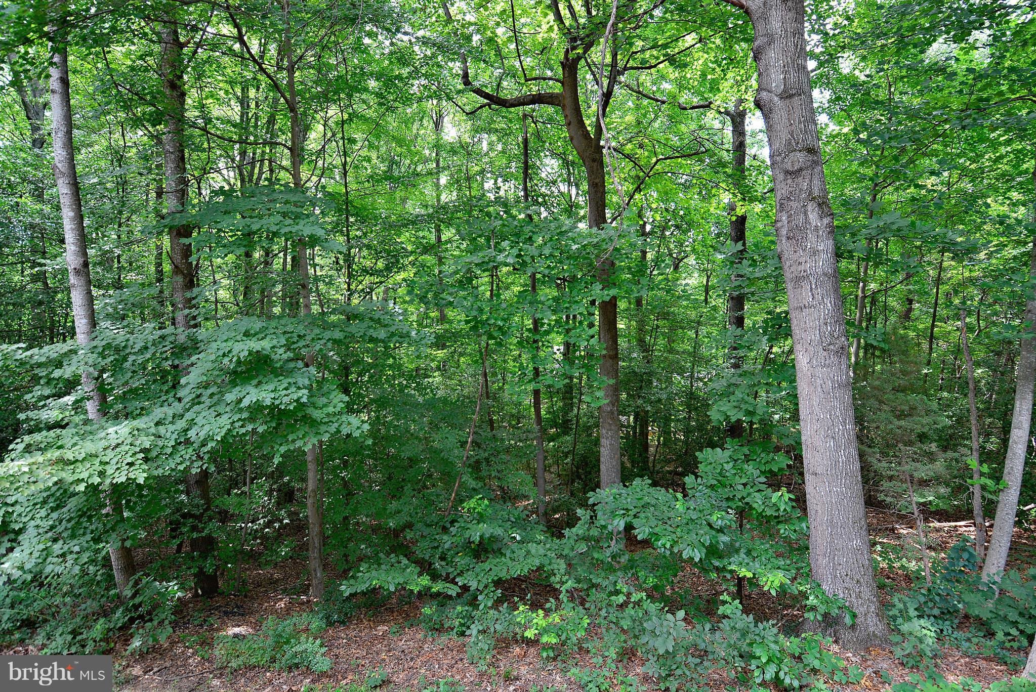 GAILA WOODS - Residential