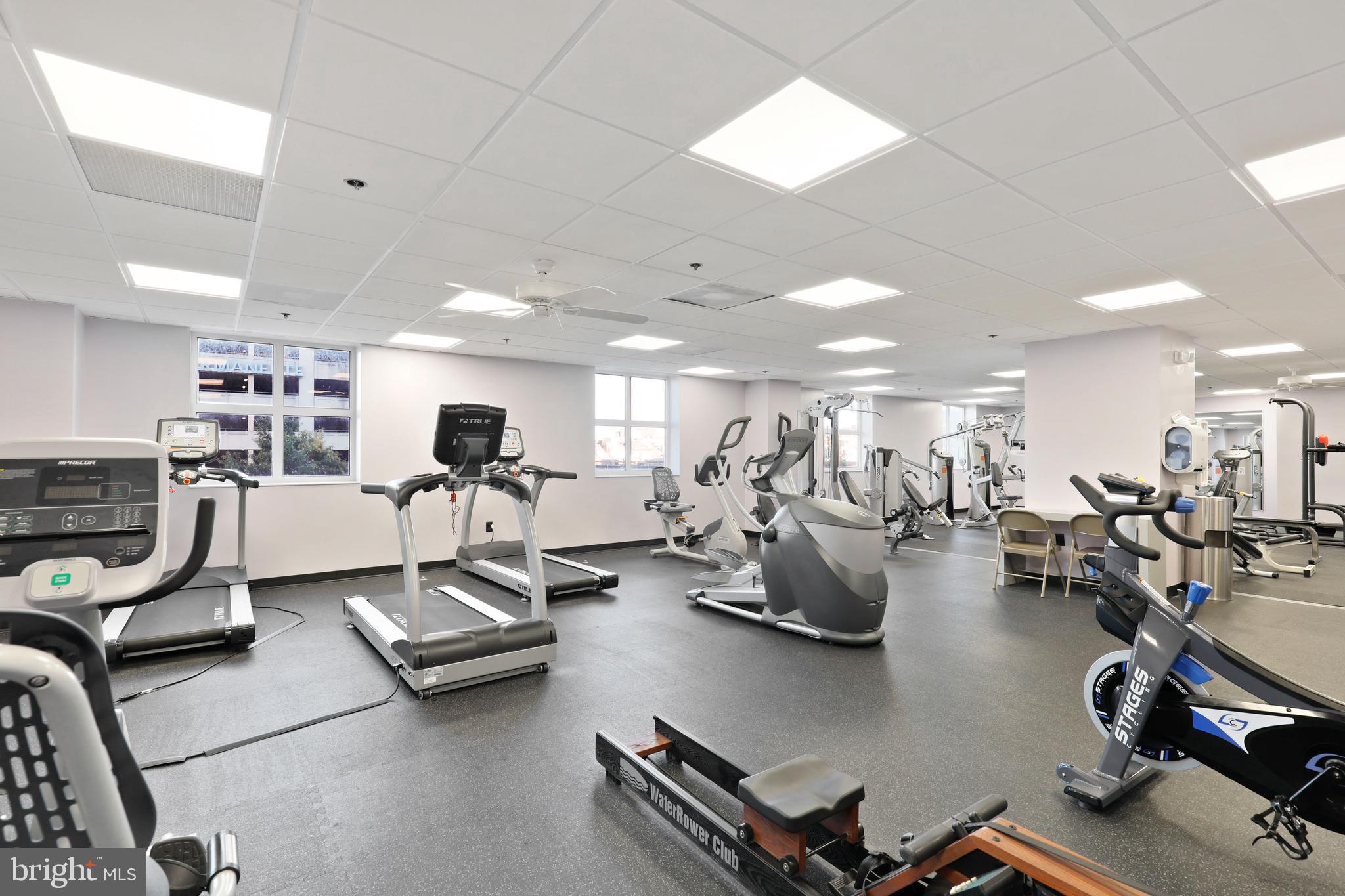 SCARLETT PLACE - Residential