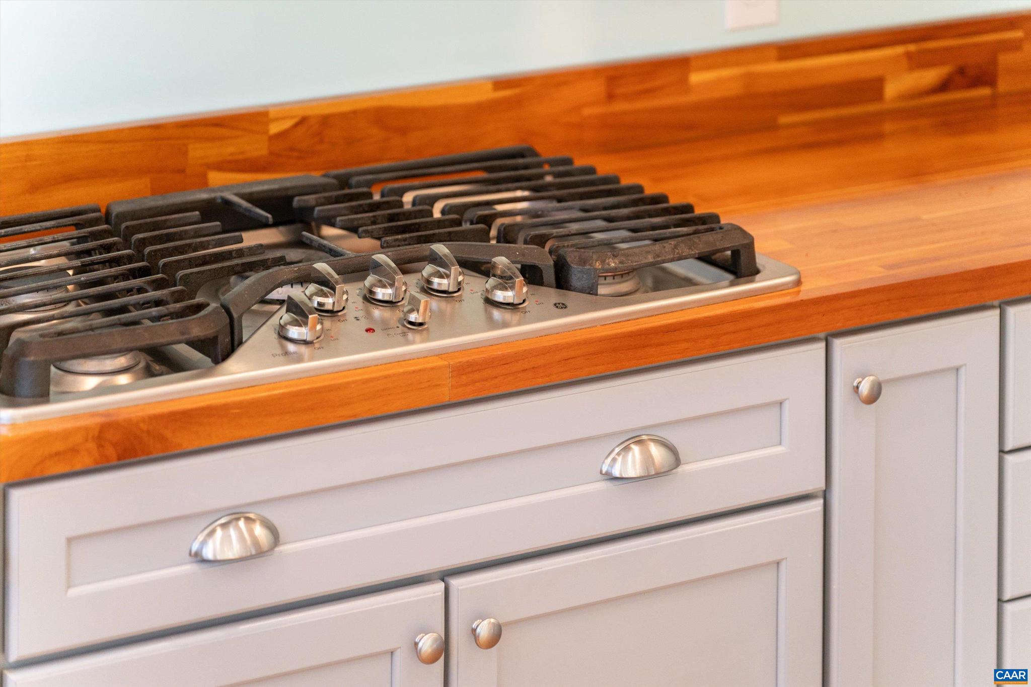 LAKE MONTICELLO - Residential