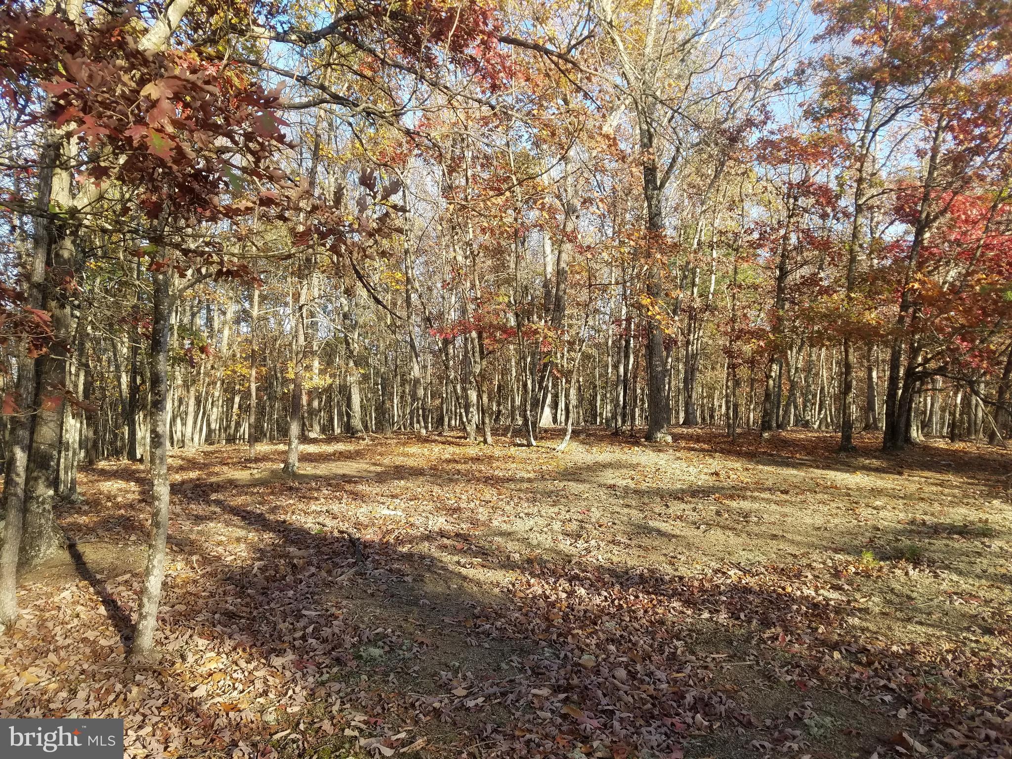 BEAUTIFUL CRYSTAL VALLEY ESTATES! Rurally located in the heart of Hampshire Co. just four miles north of Romney. This "wild life refuge" and older development sits on the east side of what is locally known as Herriots Mountain. A mixture of sloping to gently rolling lots, all wooded with various potential build sites. Well maintained country roads throughout. Only minutes from public access to the South Branch River. Also nearby is Crystal Valley Ranch Restaurant (horse stables and riding trails)...Lot #29, 2.2 acres, lays beautiful...Build that home or getaway cabin!!! Other lots available, see plats and lot list...