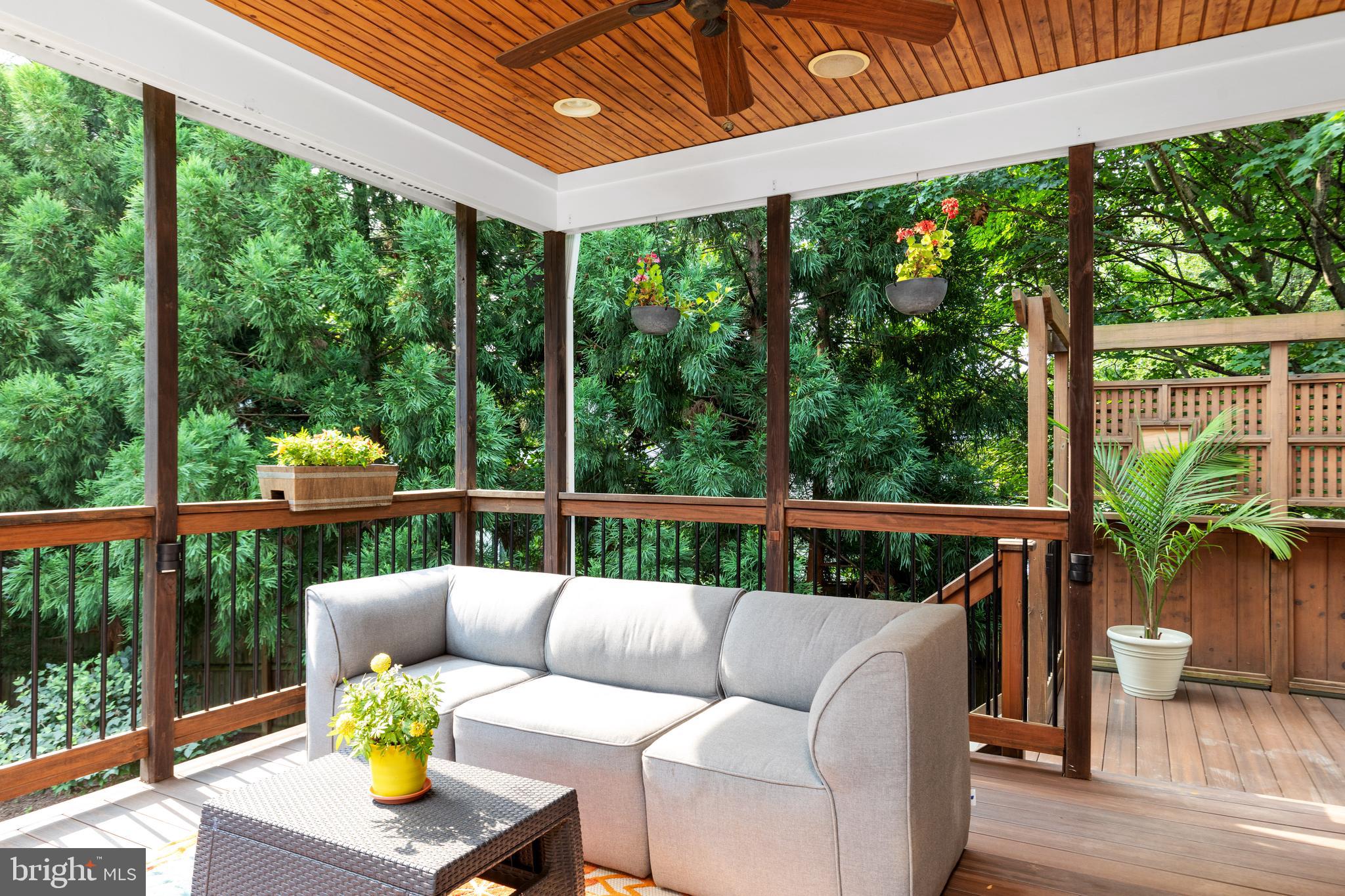 BAYSIDE - Residential