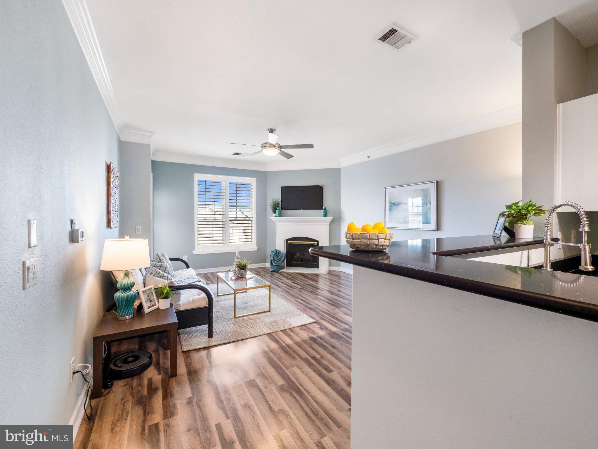 1521 SPRING GATE DRIVE 10401