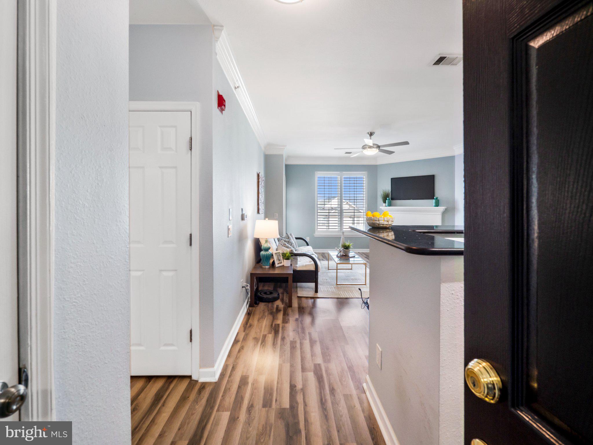 1521 SPRING GATE DRIVE 10401
