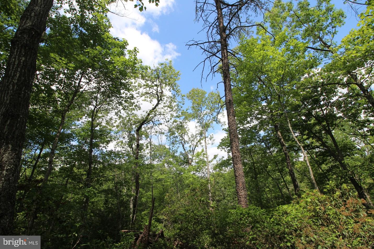 8103 OLD MINERAL SPRINGS ROAD