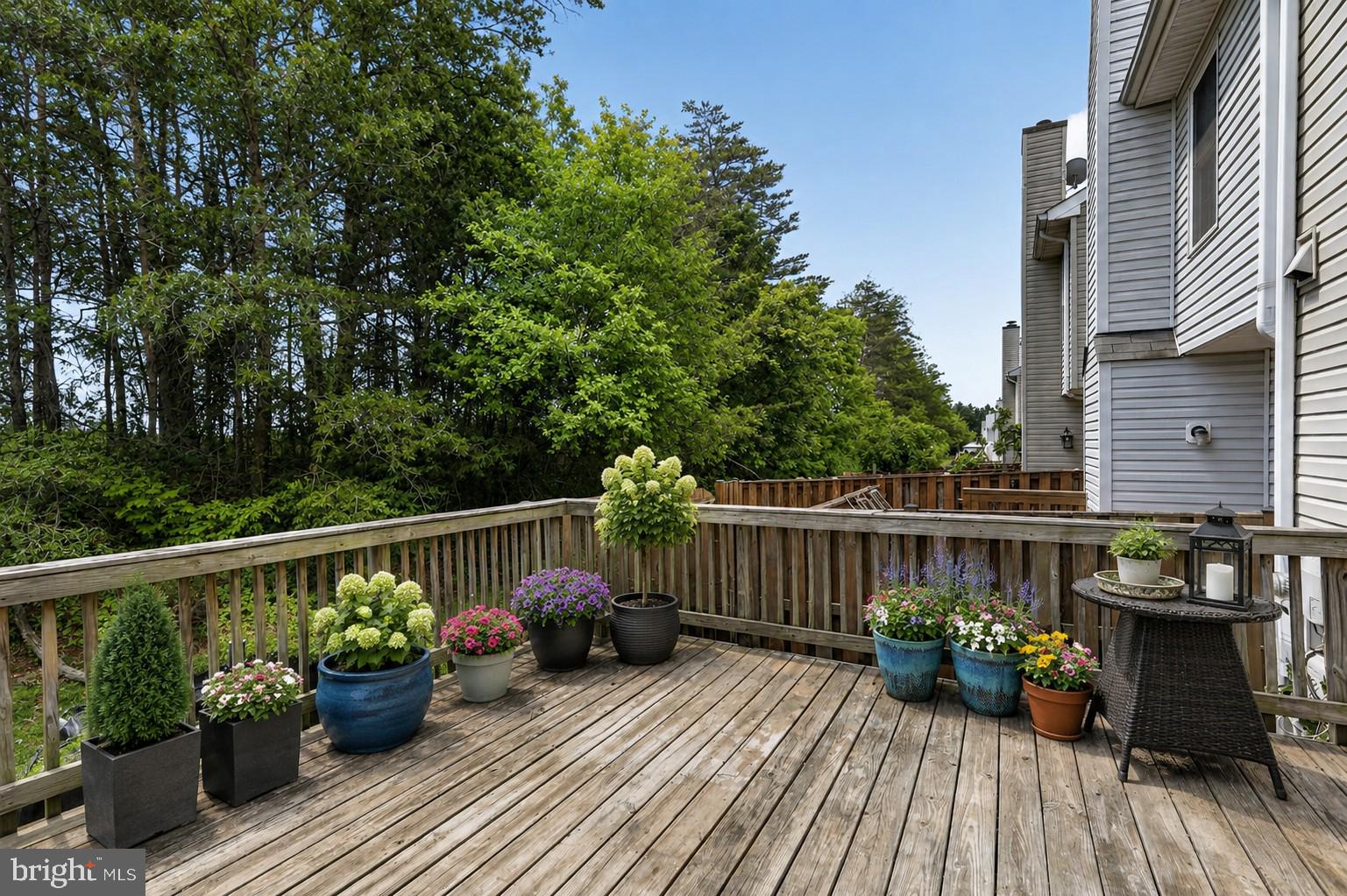 BELMONT STATION - Residential