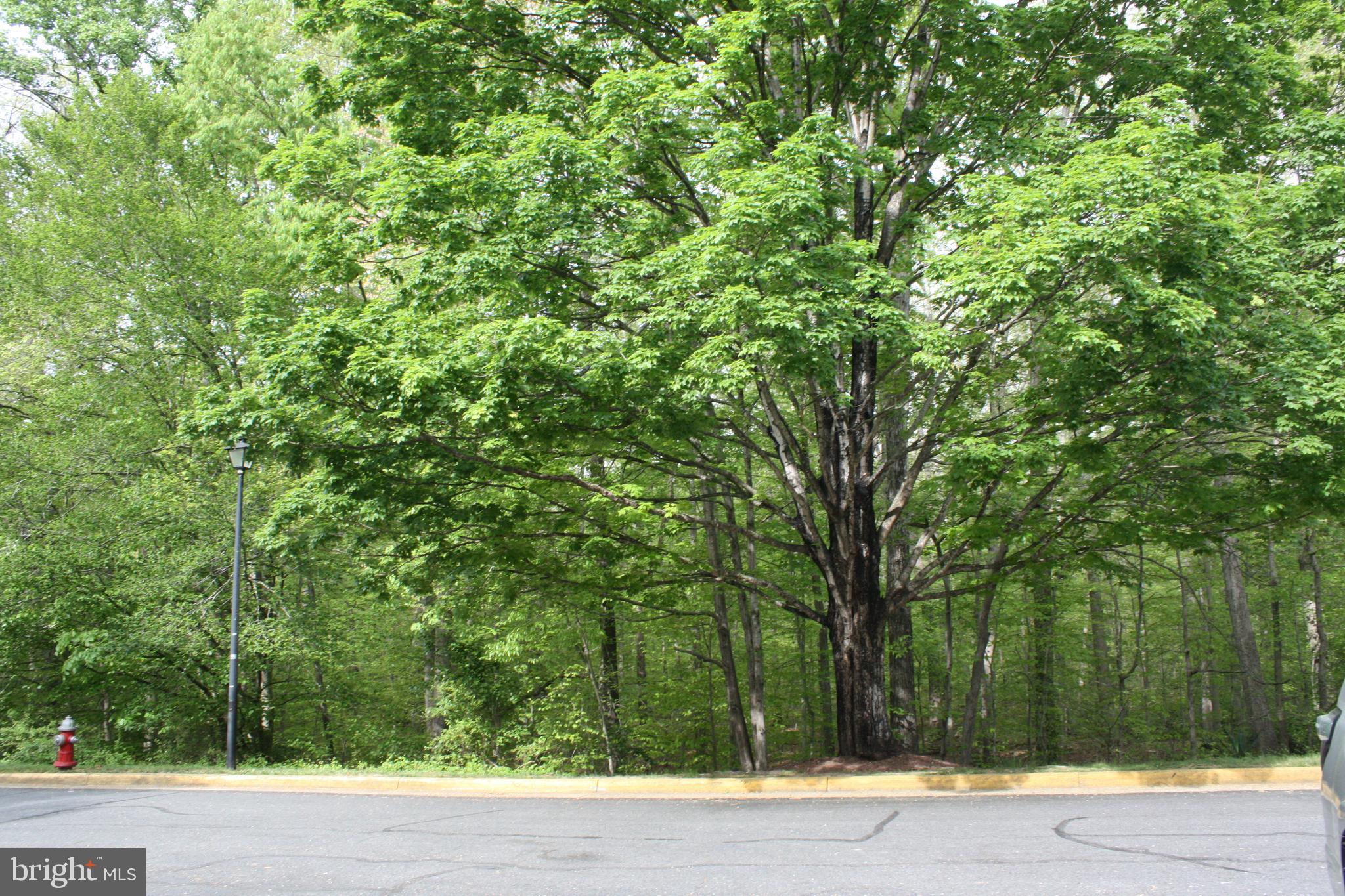 NEWINGTON FOREST - Residential