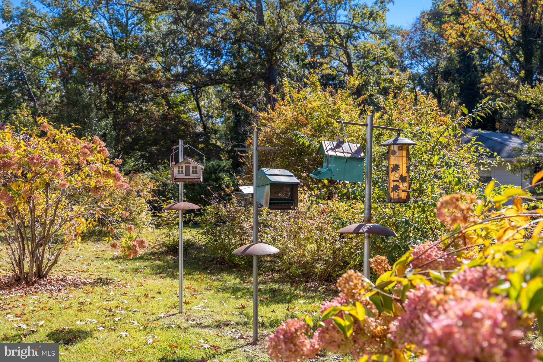 EARLEIGH HEIGHTS - Residential