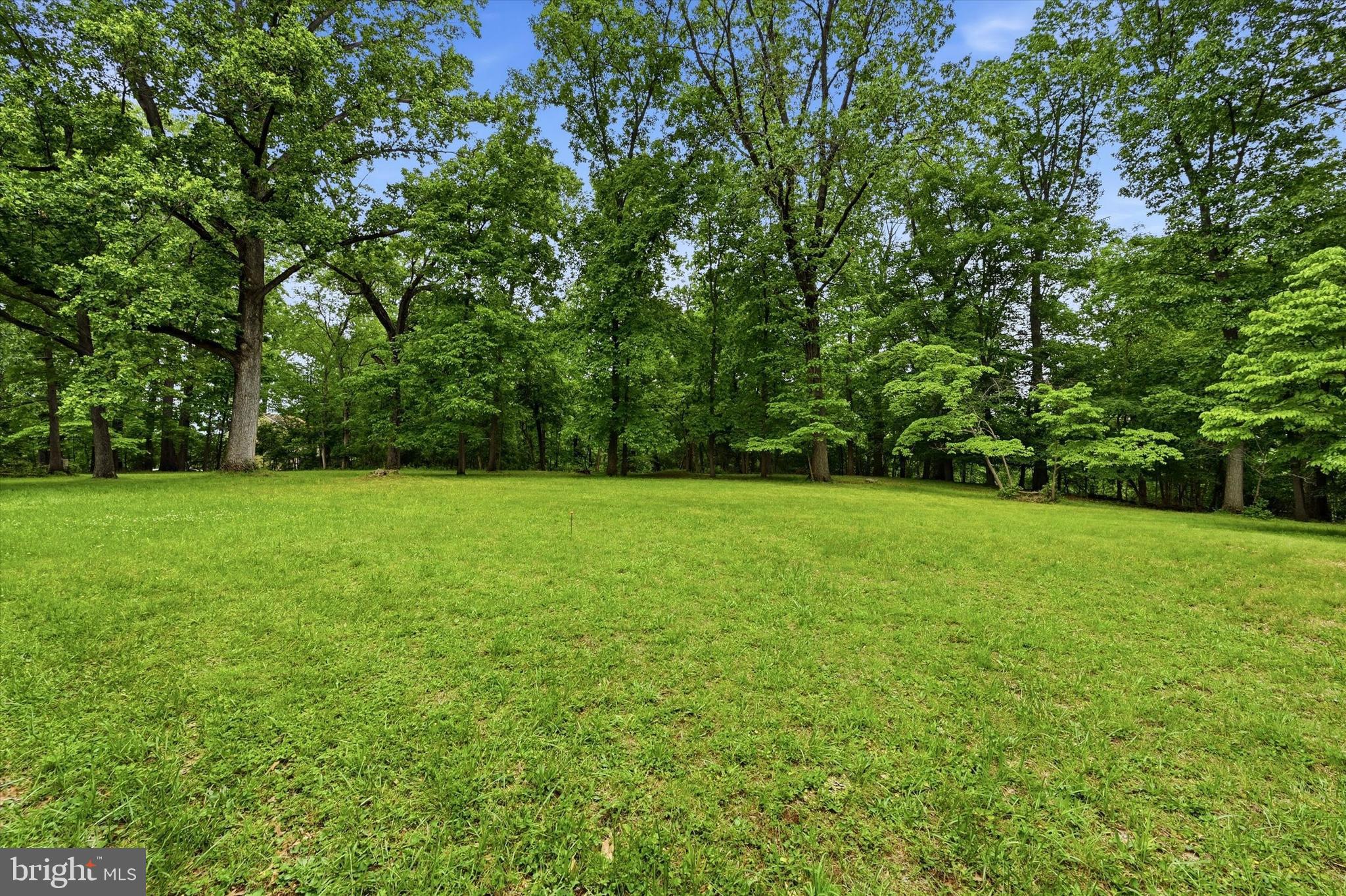 Lot #1 DOGWOOD LANE