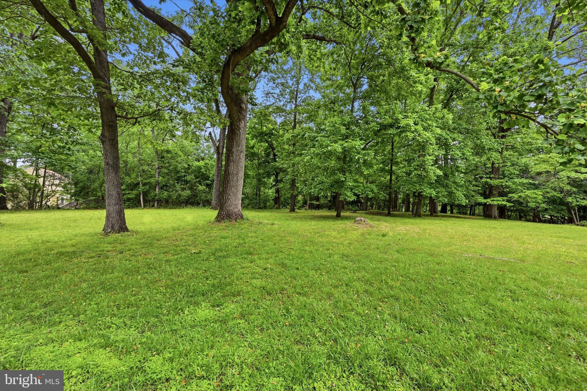 Lot #1 DOGWOOD LANE