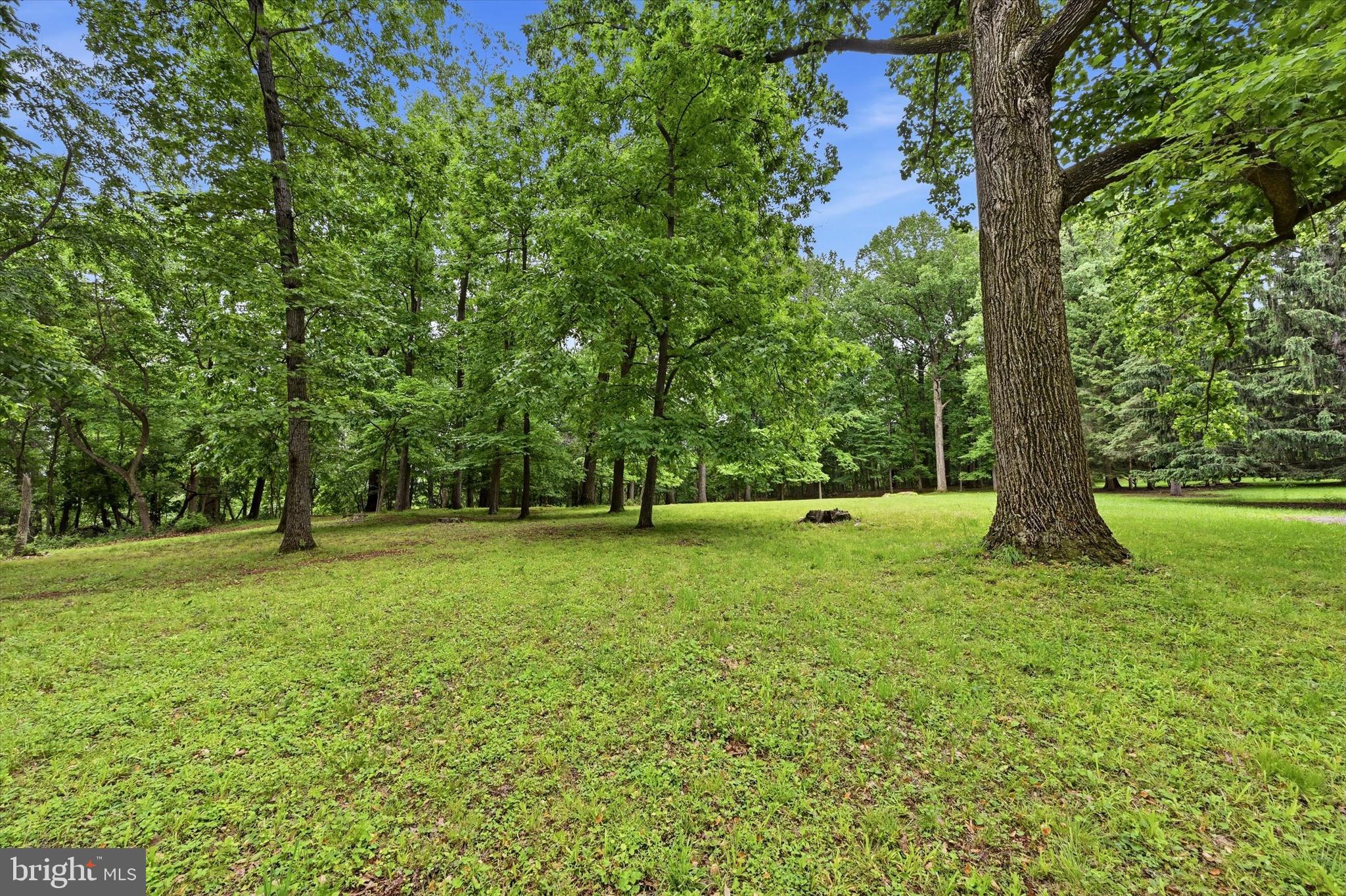 Lot #1 DOGWOOD LANE