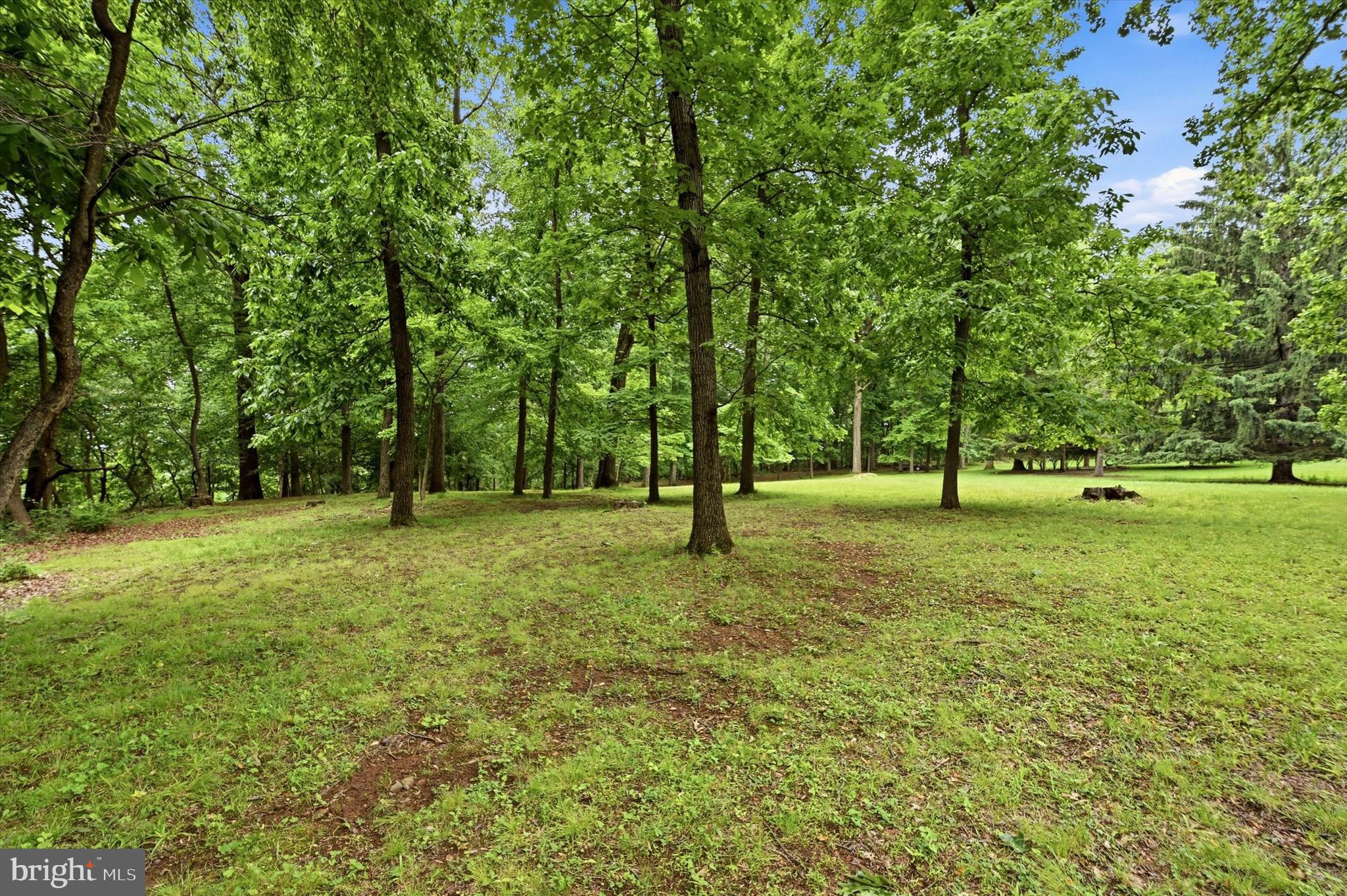 Lot #1 DOGWOOD LANE