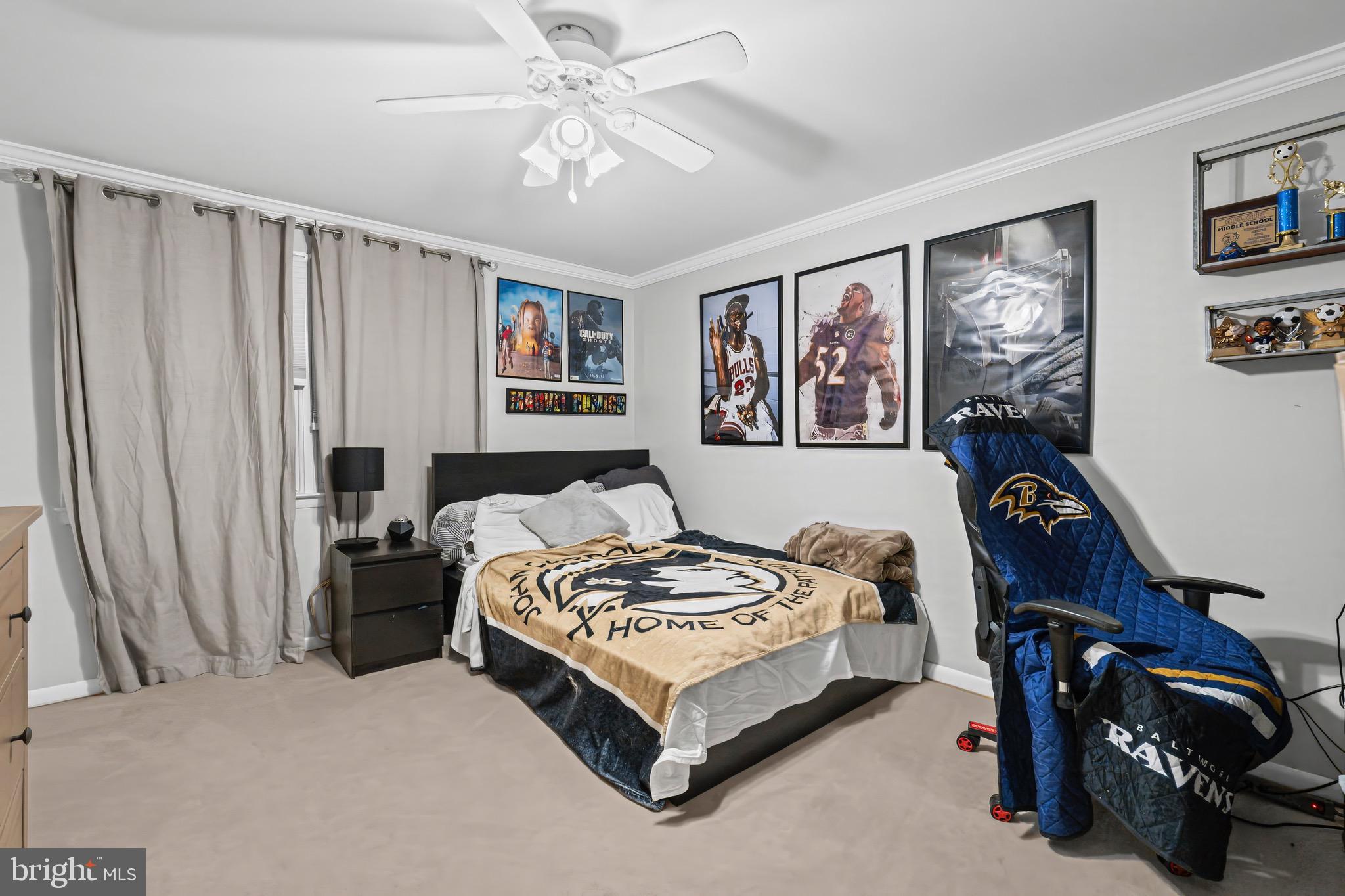 SHAMROCK - Residential