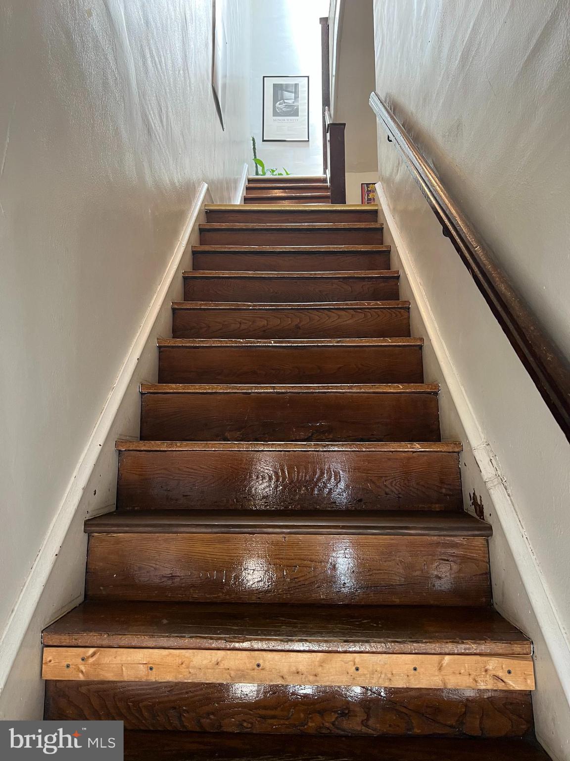 CHESTNUT HILL - Residential Lease