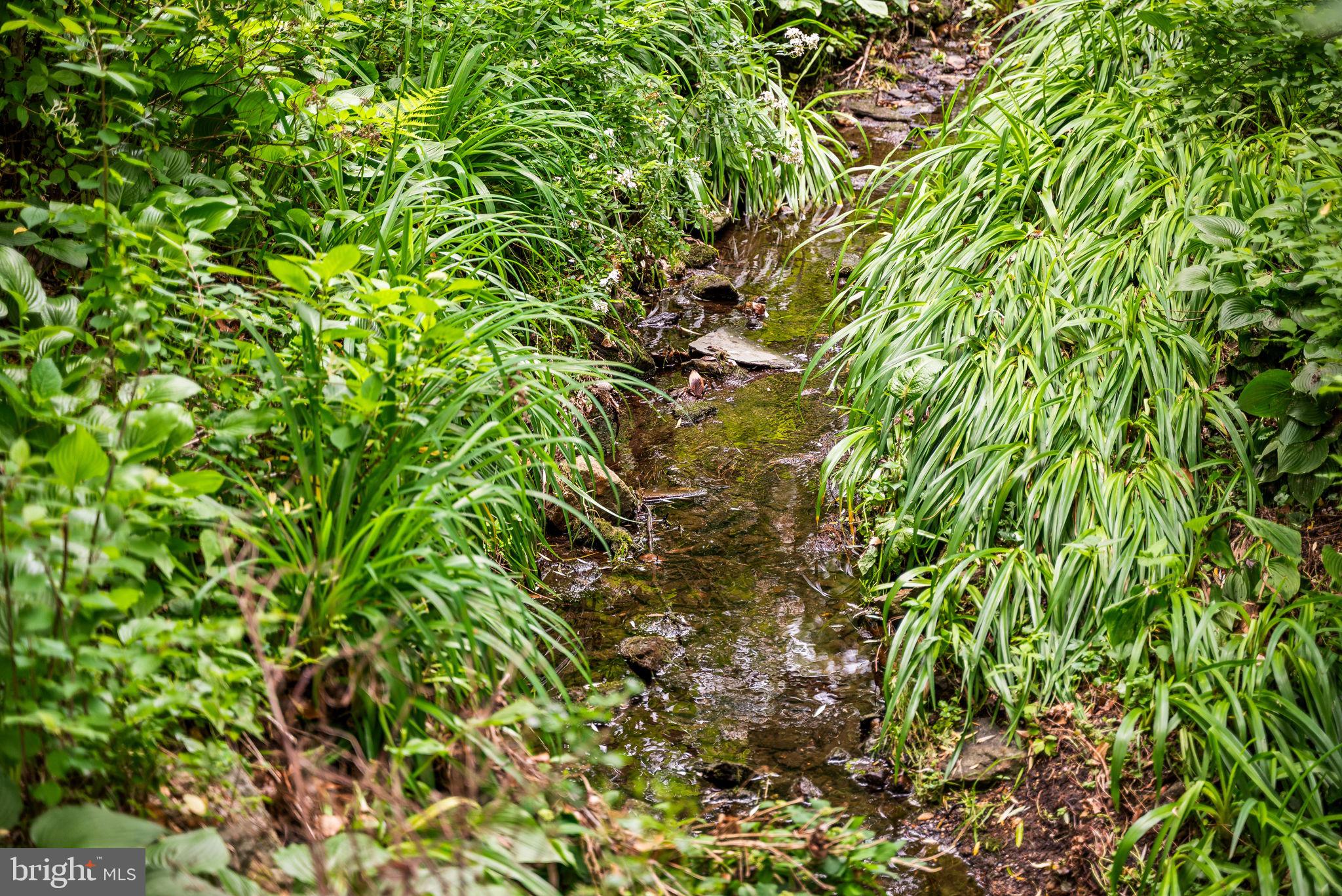 SWARTHMORE HILLS - Residential