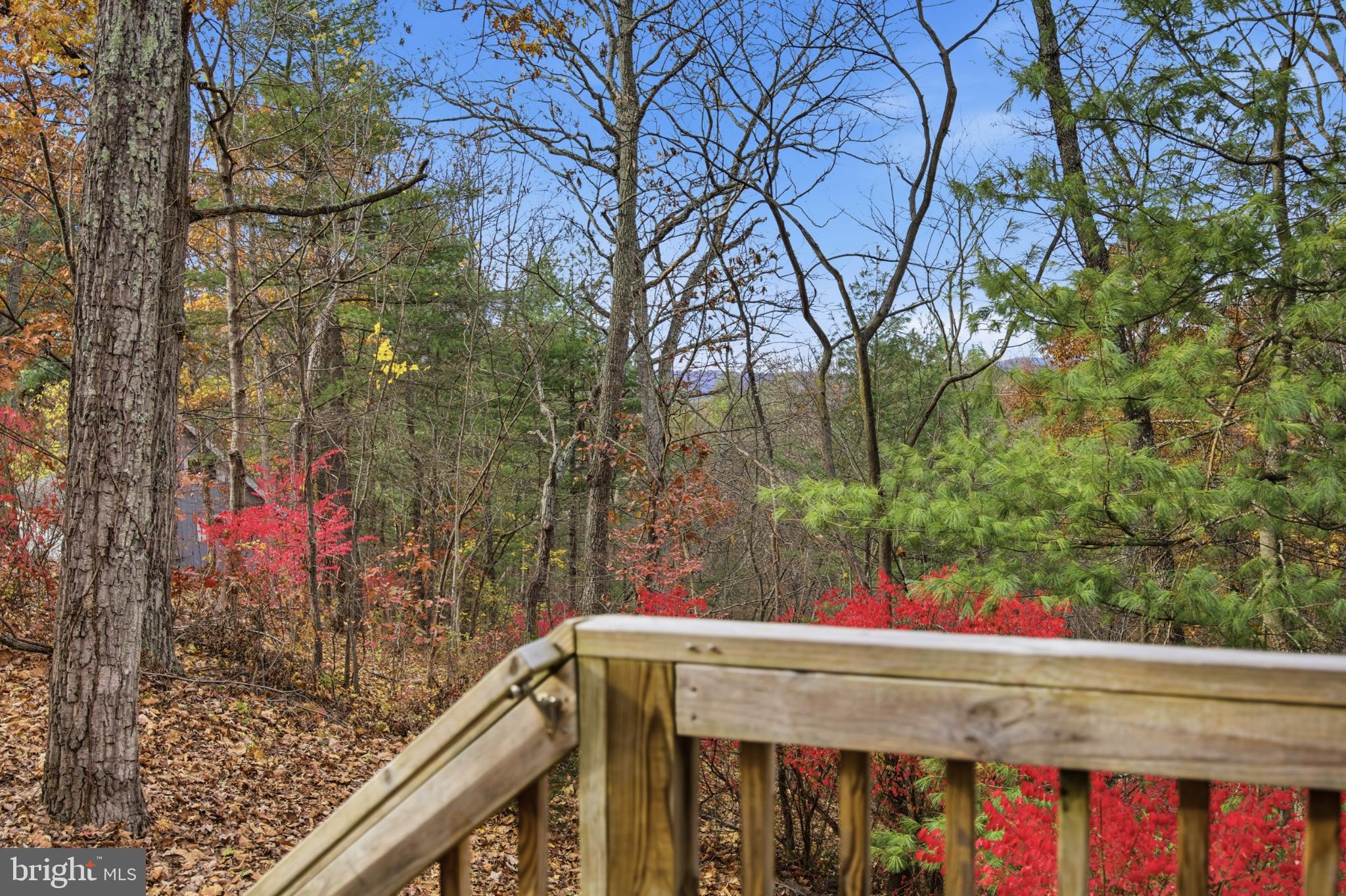 GLENWOOD FOREST - Residential