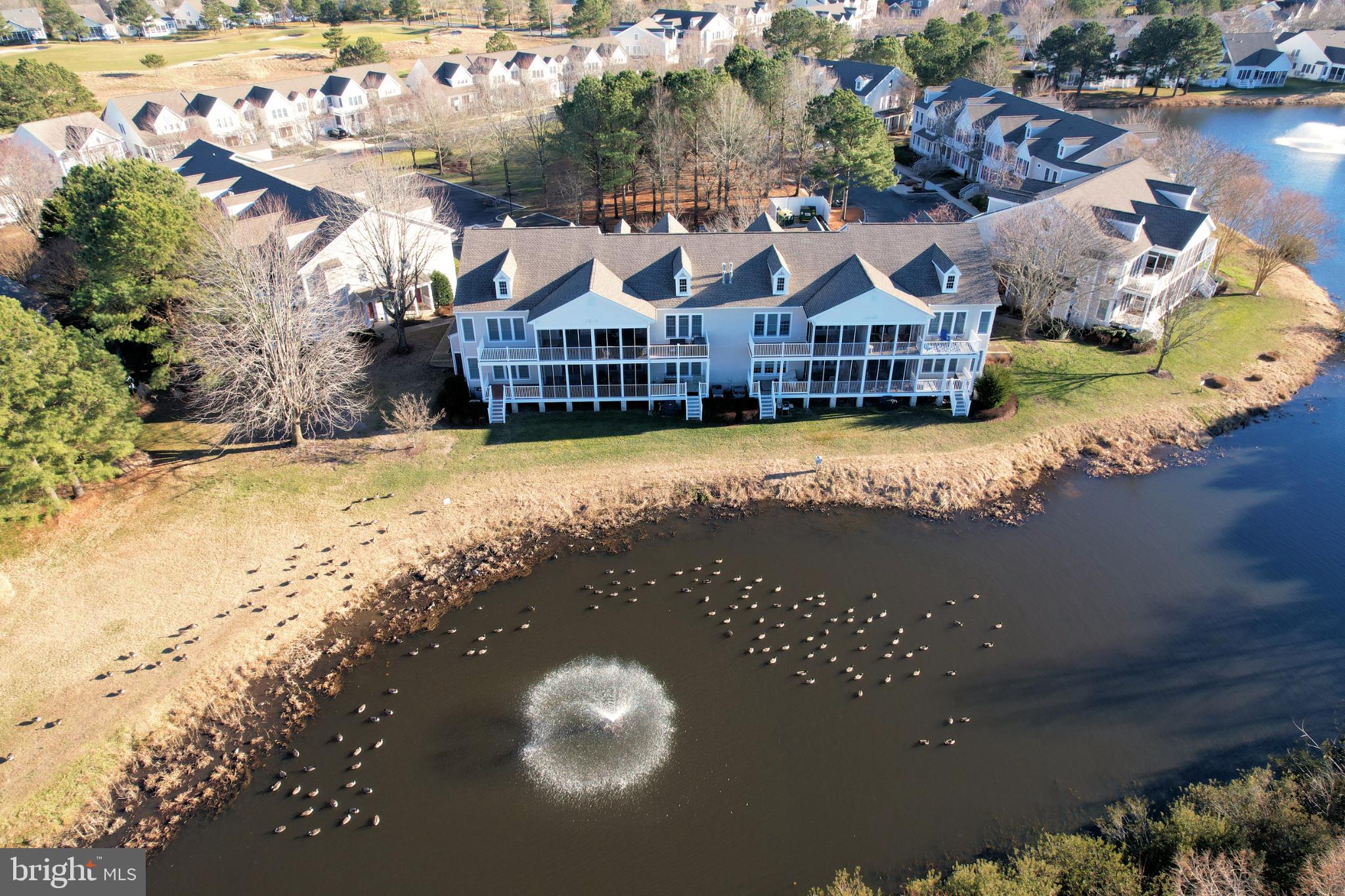 56 OCTOBER GLORY AVENUE E