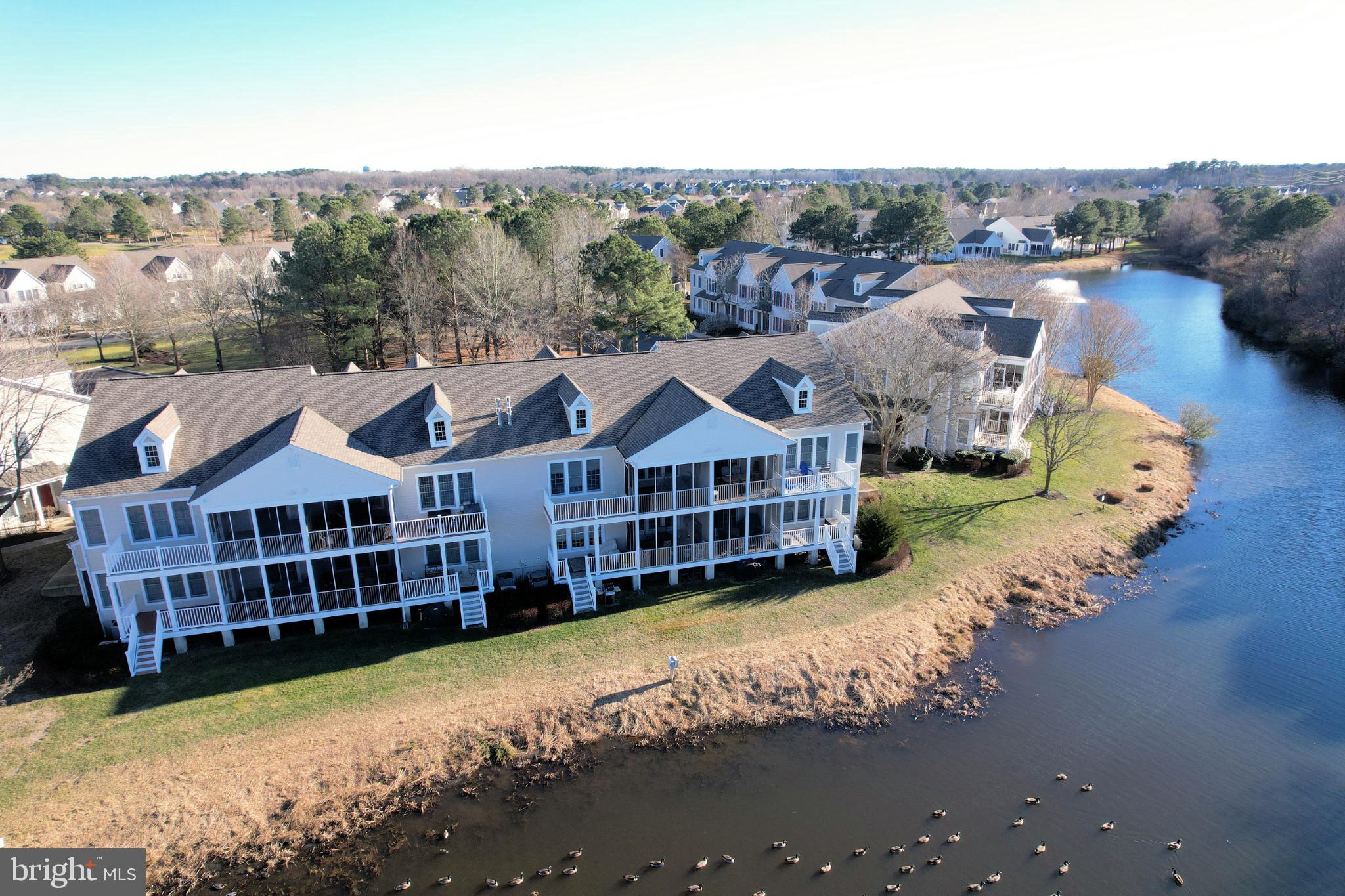 BEAR TRAP - Residential