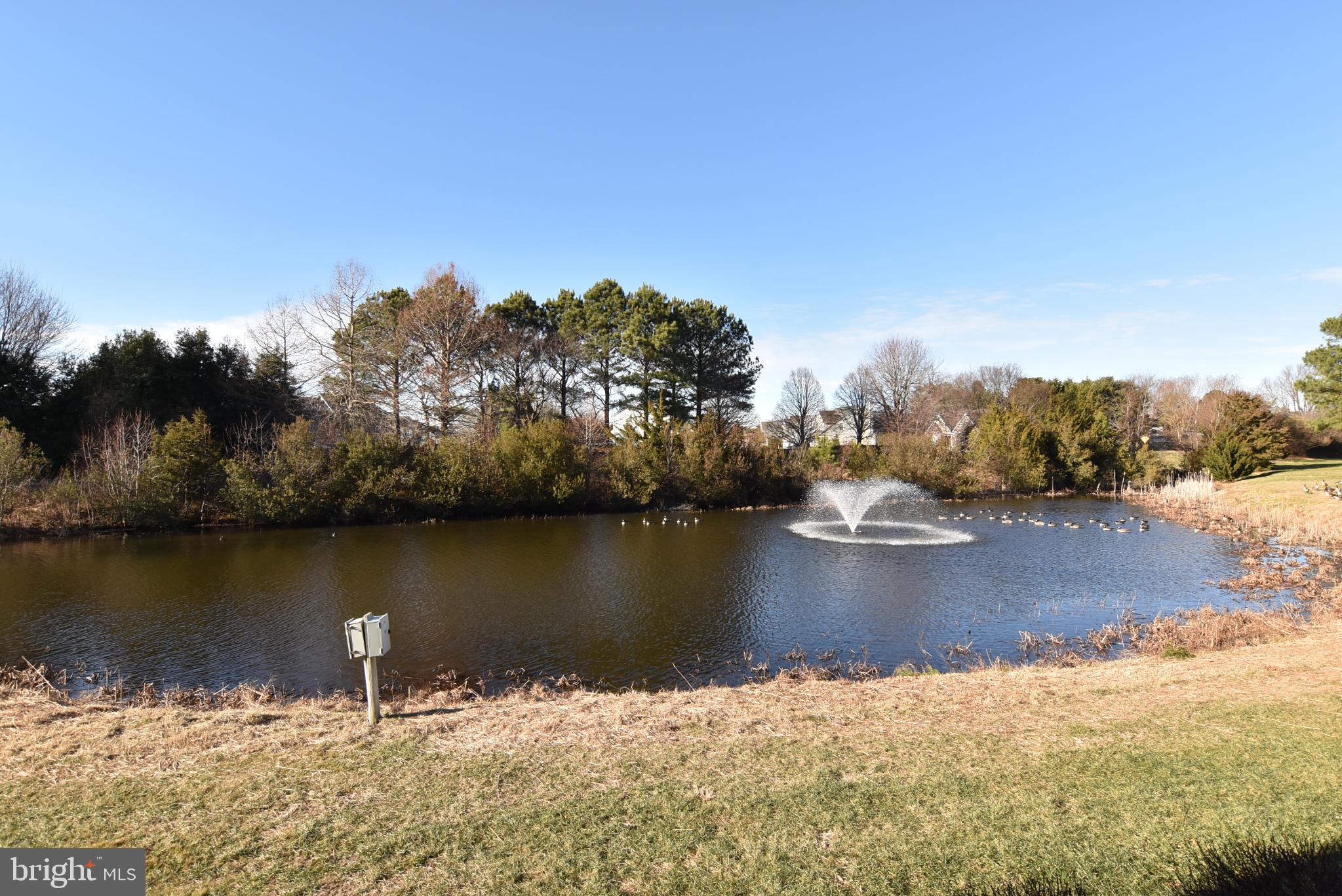 56 OCTOBER GLORY AVENUE E