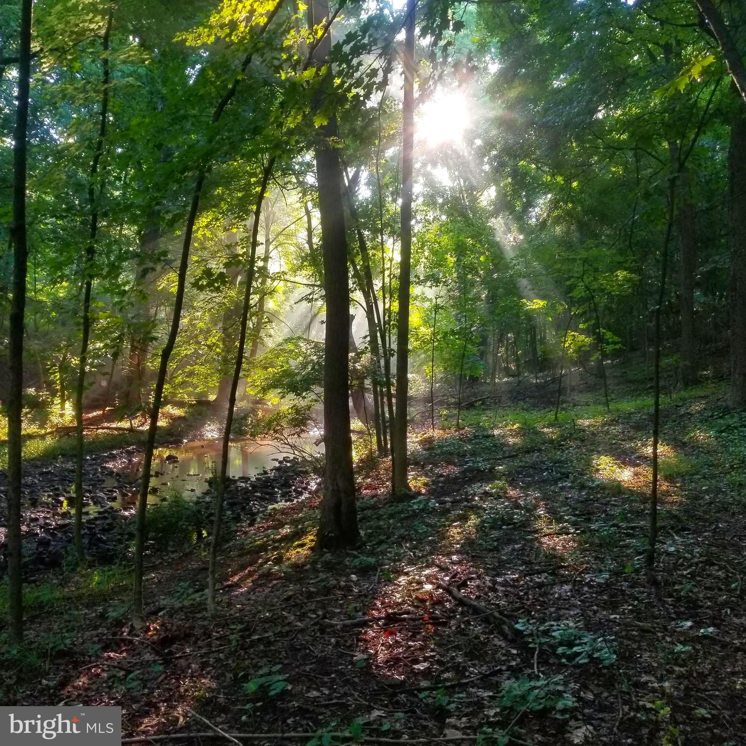 SHADY GROVE MANOR - Residential