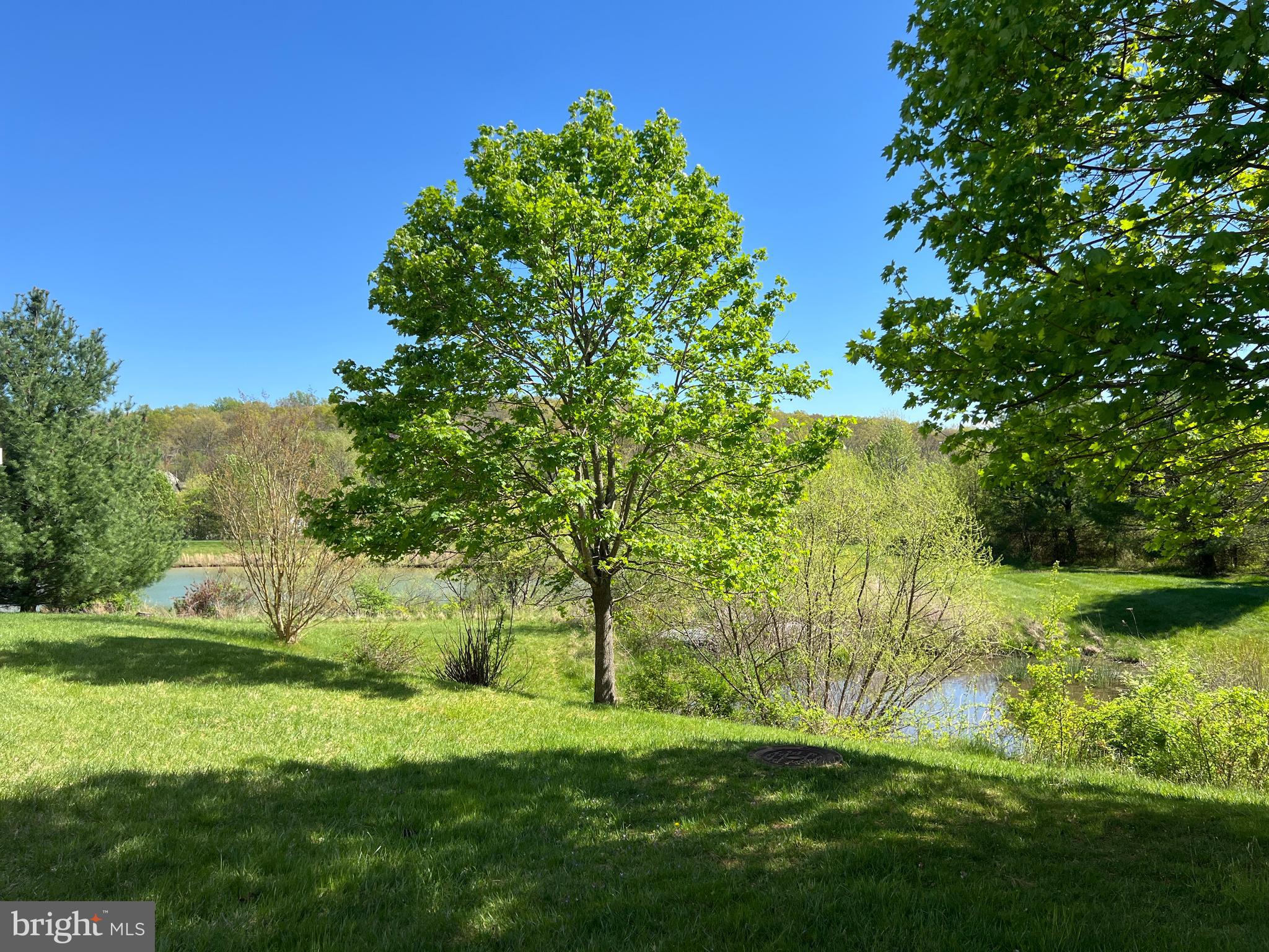 ELLICOTT MEADOWS - Residential
