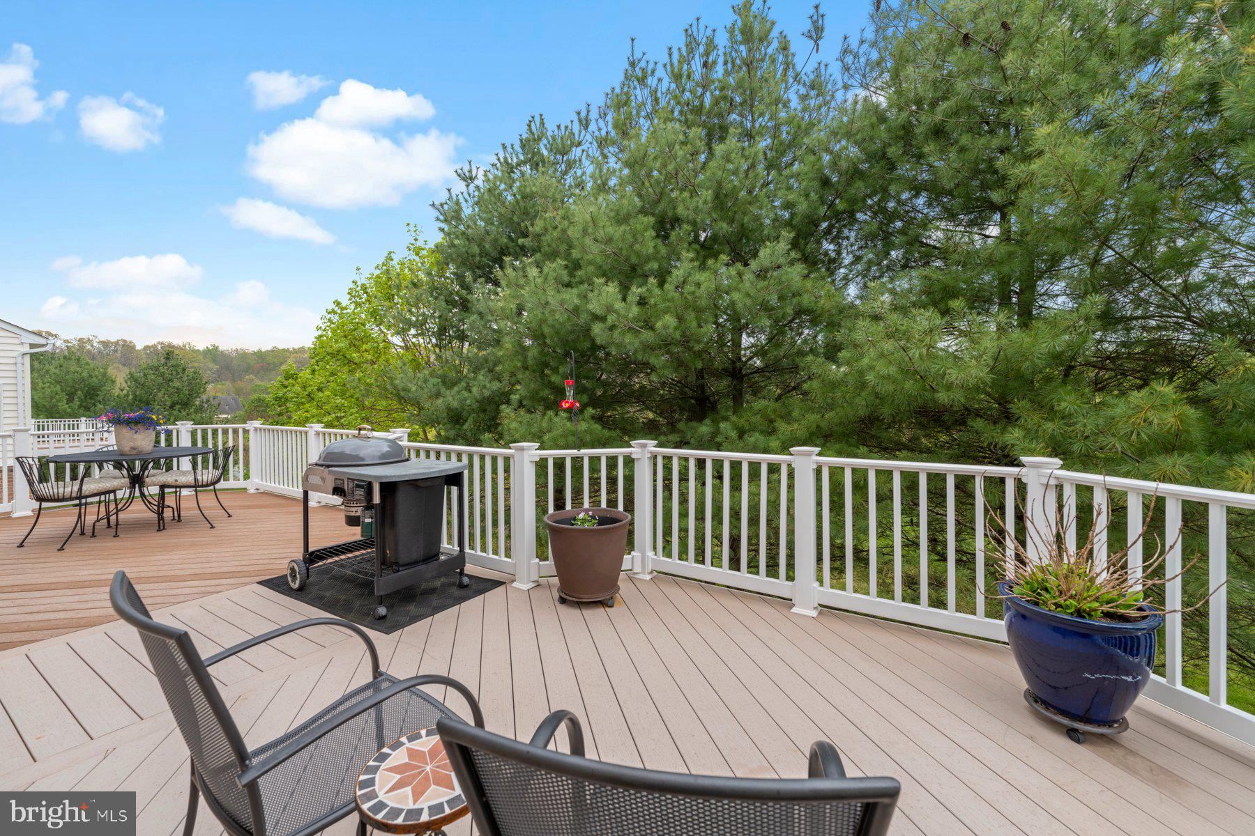 ELLICOTT MEADOWS - Residential