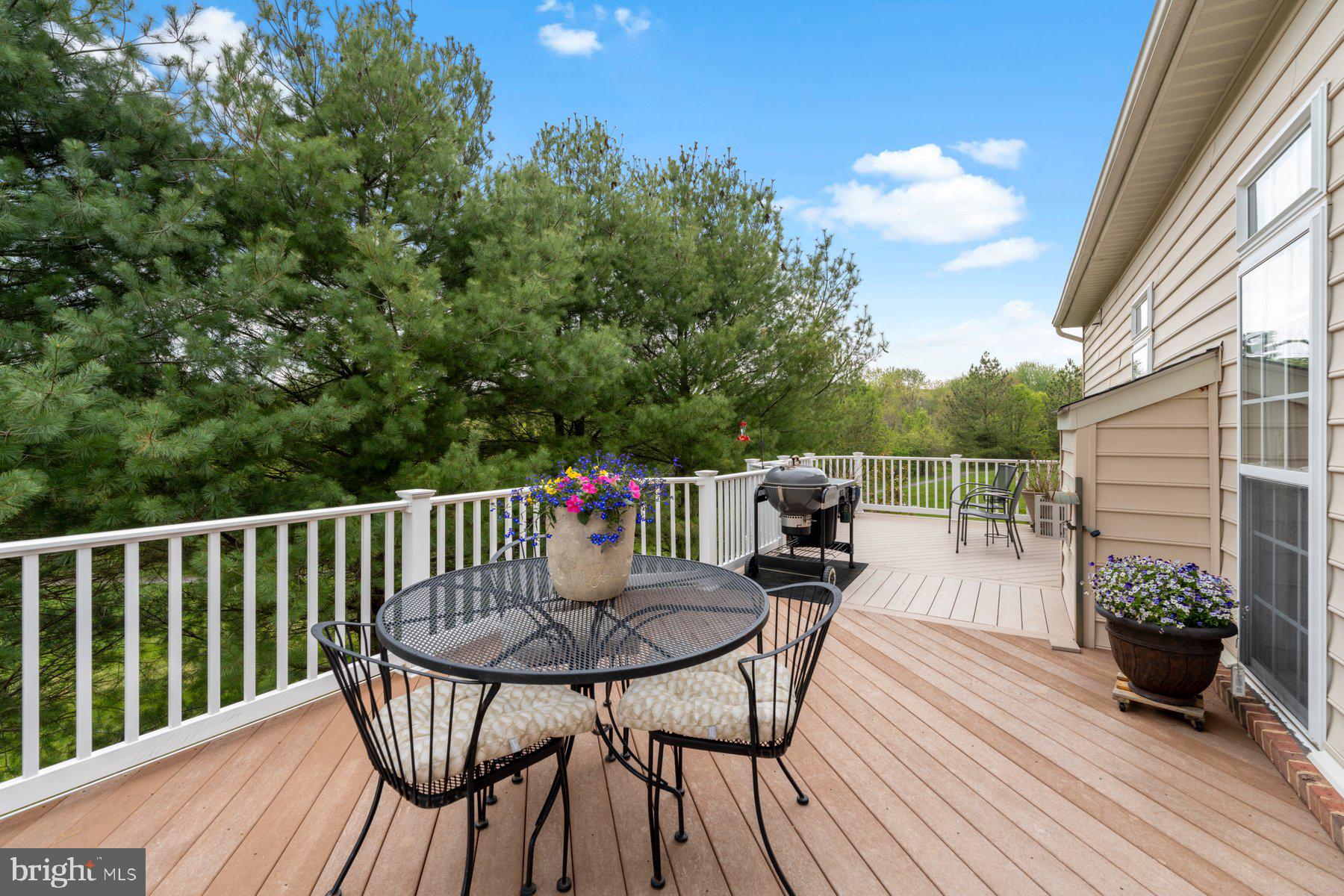 ELLICOTT MEADOWS - Residential