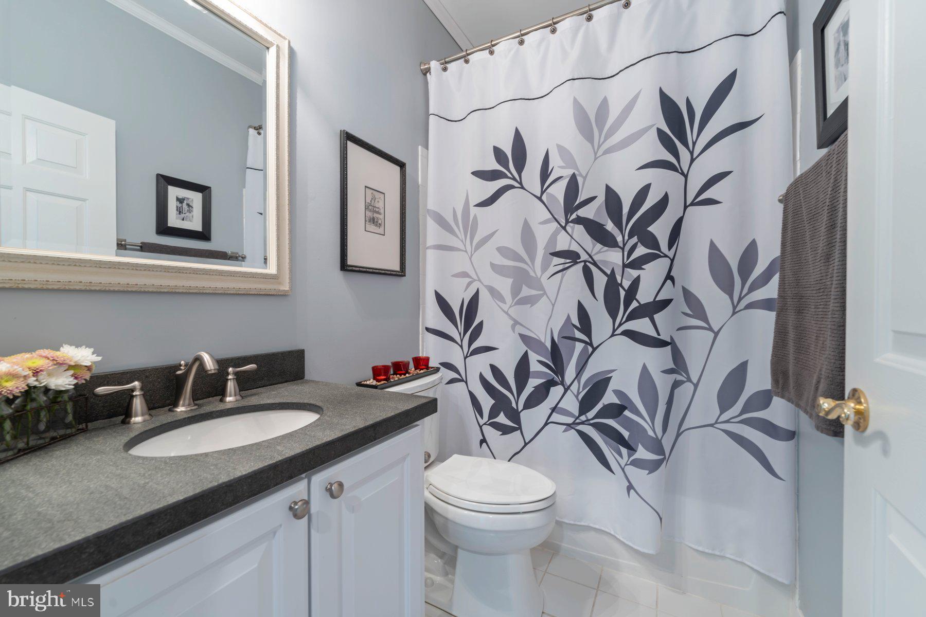 ELLICOTT MEADOWS - Residential