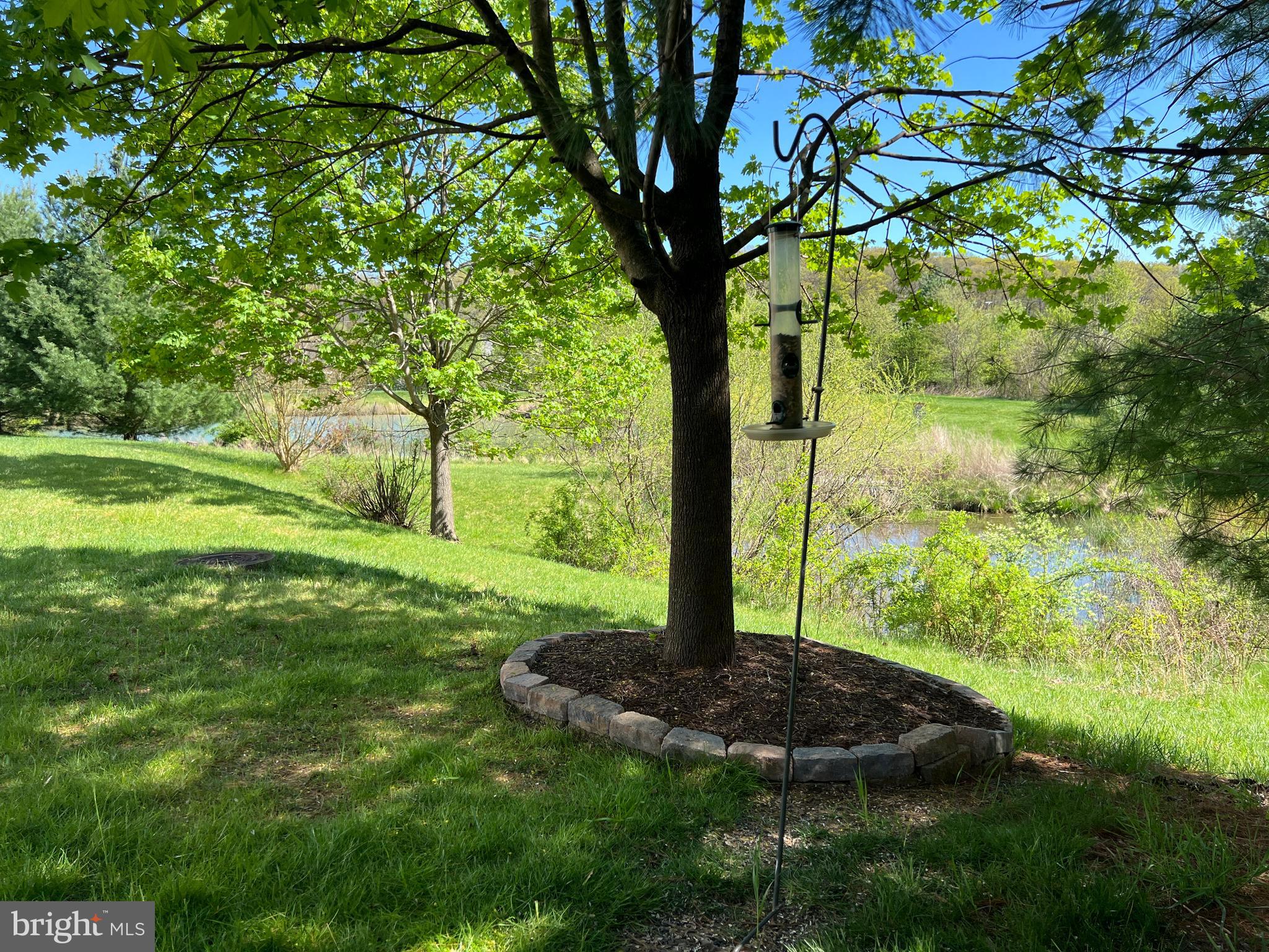 ELLICOTT MEADOWS - Residential