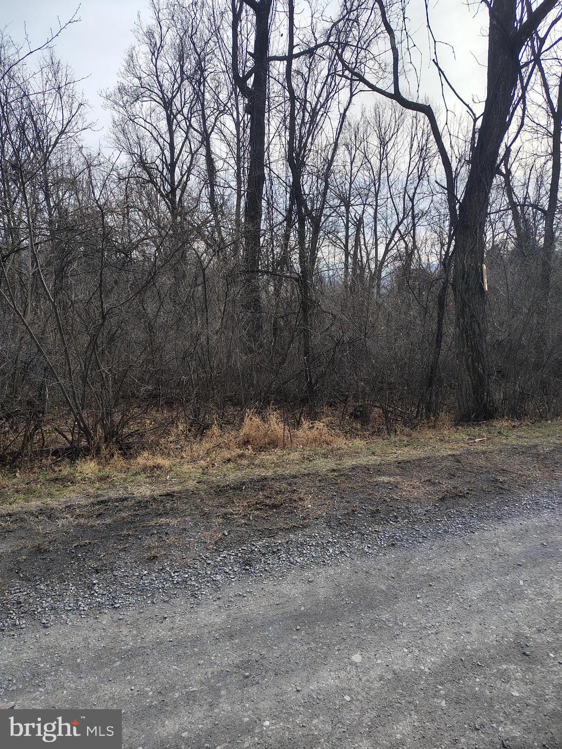 BLUE RIDGE MOUNTAIN ESTATES - Land