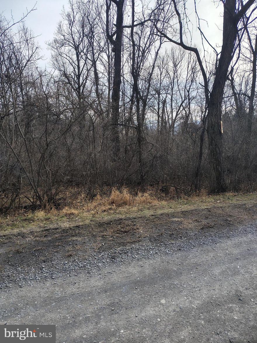 Two adjoining building lots totaling approximately 0.35 acres, offered together in a peaceful, natural setting. Enjoy the opportunity to build your home while surrounded by nature and a quiet atmosphere. An HOA is in place for road maintenance, providing shared access and upkeep. A great option for those seeking privacy and a serene location. The two adjoining building lots being sold together total .35 acres , Tax ID 31 A2 3 2 7 and 31 A2 3 2 8 .  HOA is $50 per building  lot annually and for a home is $250  annually .