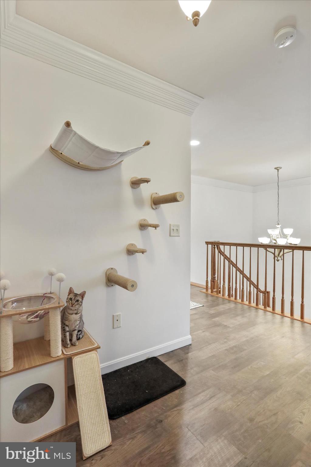 VAN LEAR MANOR - Residential