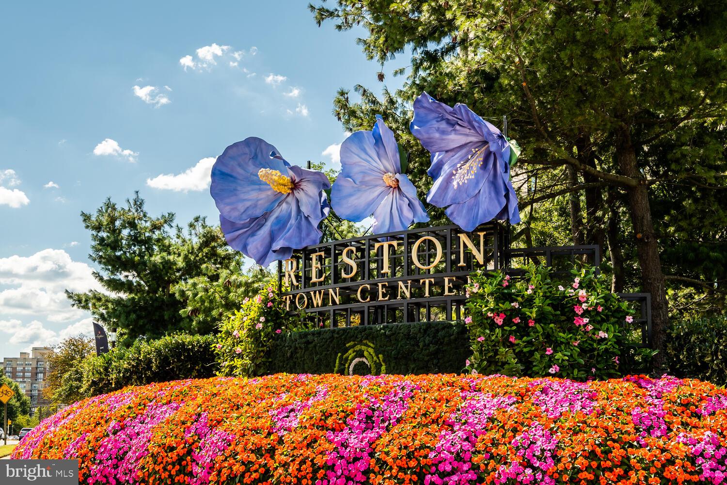 PARCRESTON - Residential Lease