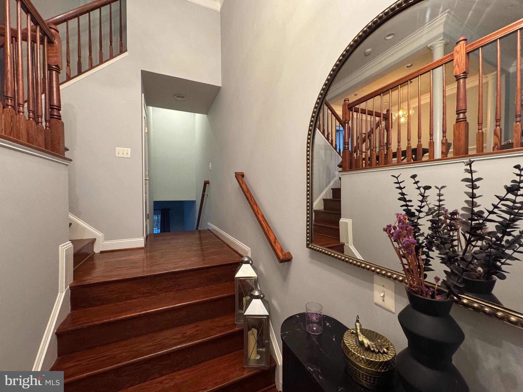 25577 SOFT MIST TERRACE