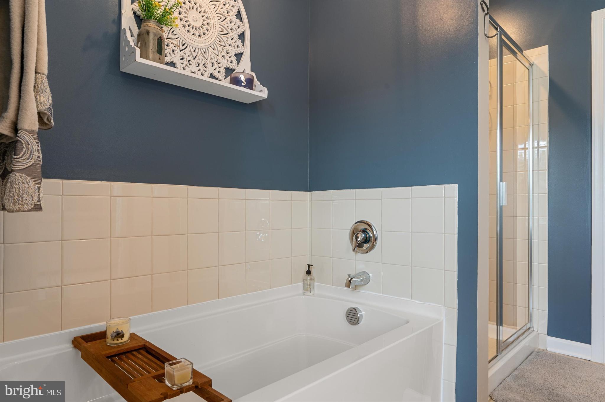 BLUE RIDGE SHADOWS - Residential