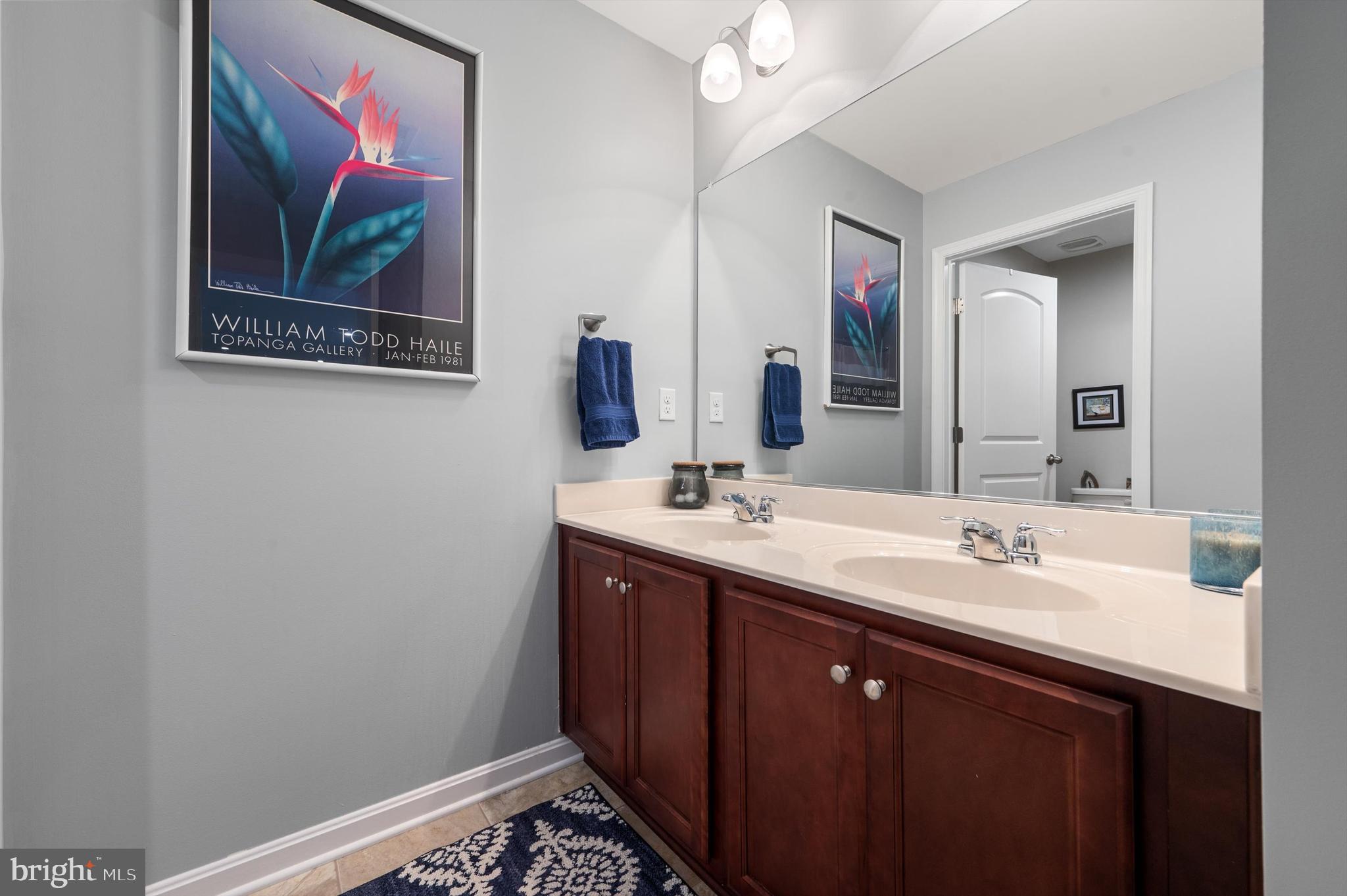 BLUE RIDGE SHADOWS - Residential