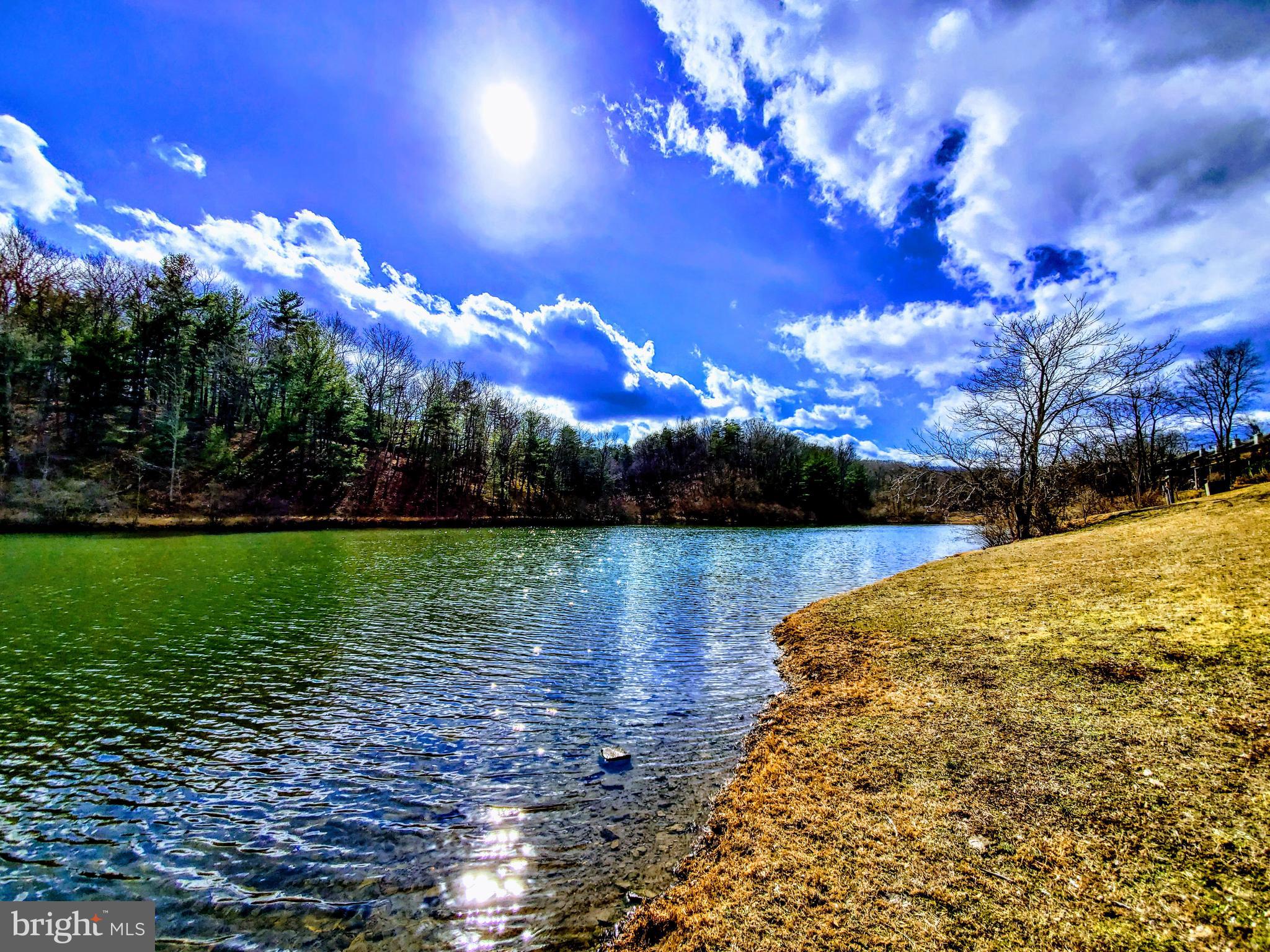 THE WOODS - Residential