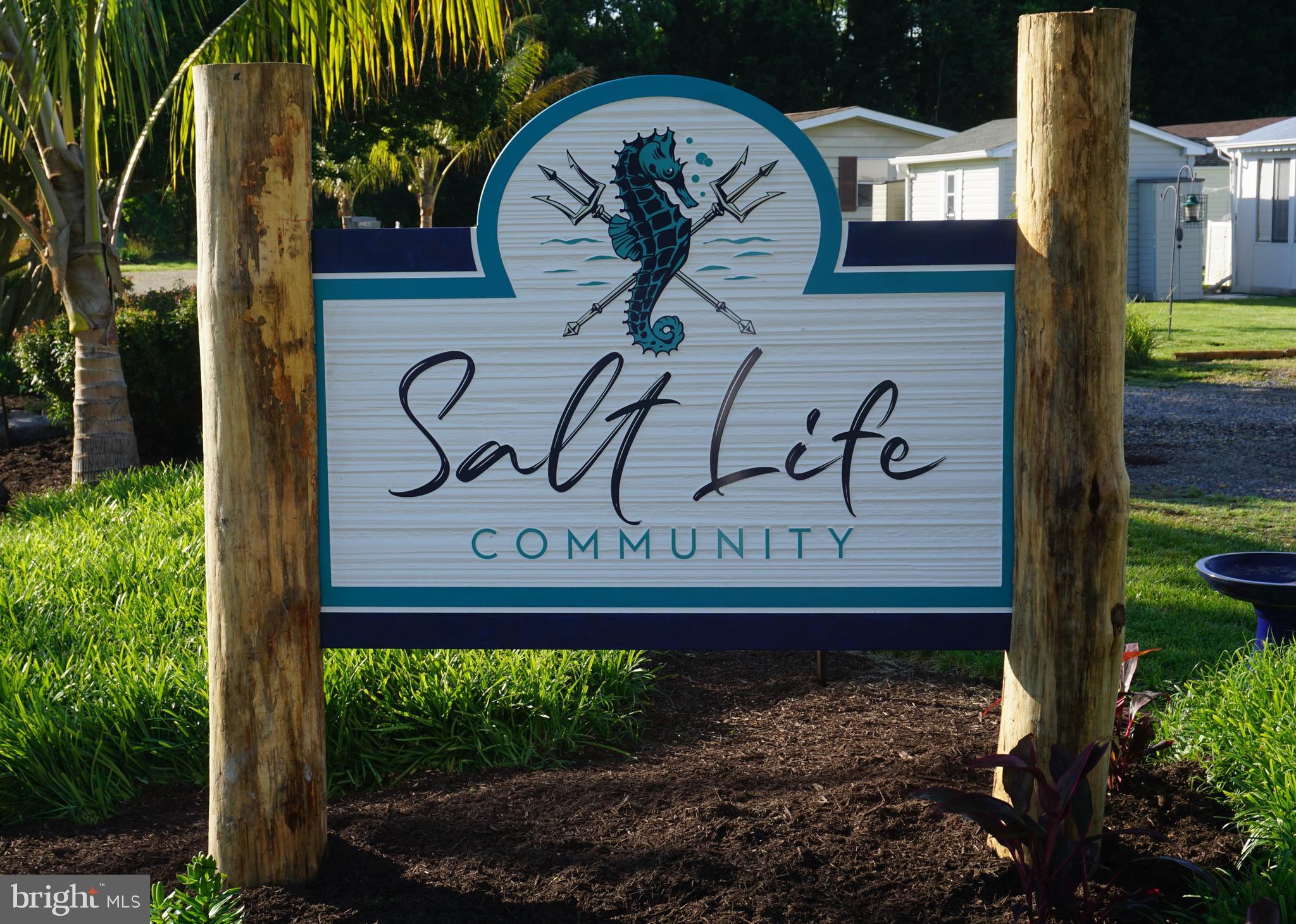 SALT LIFE PARK LLC - Residential