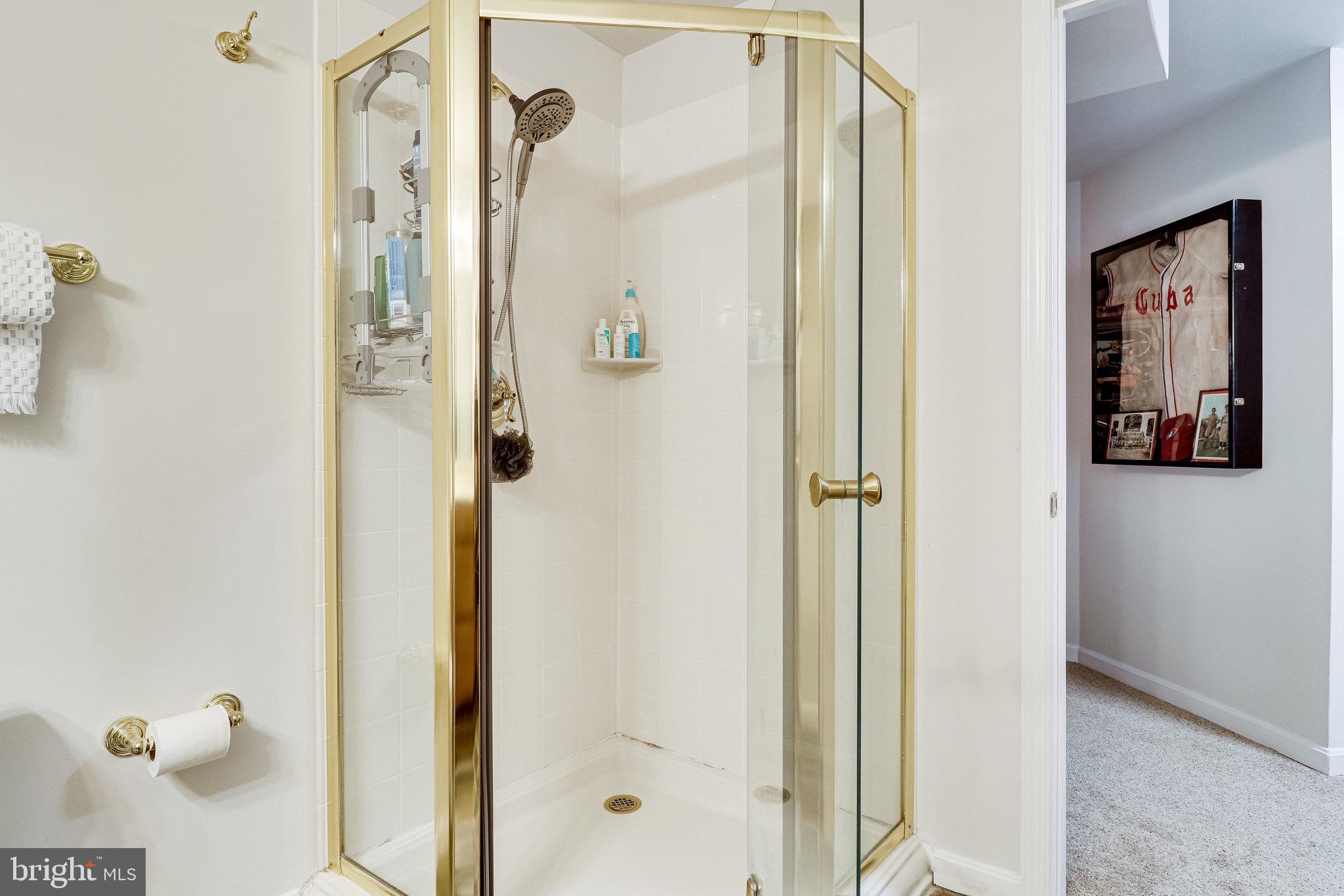 WILLOW PONDS - Residential