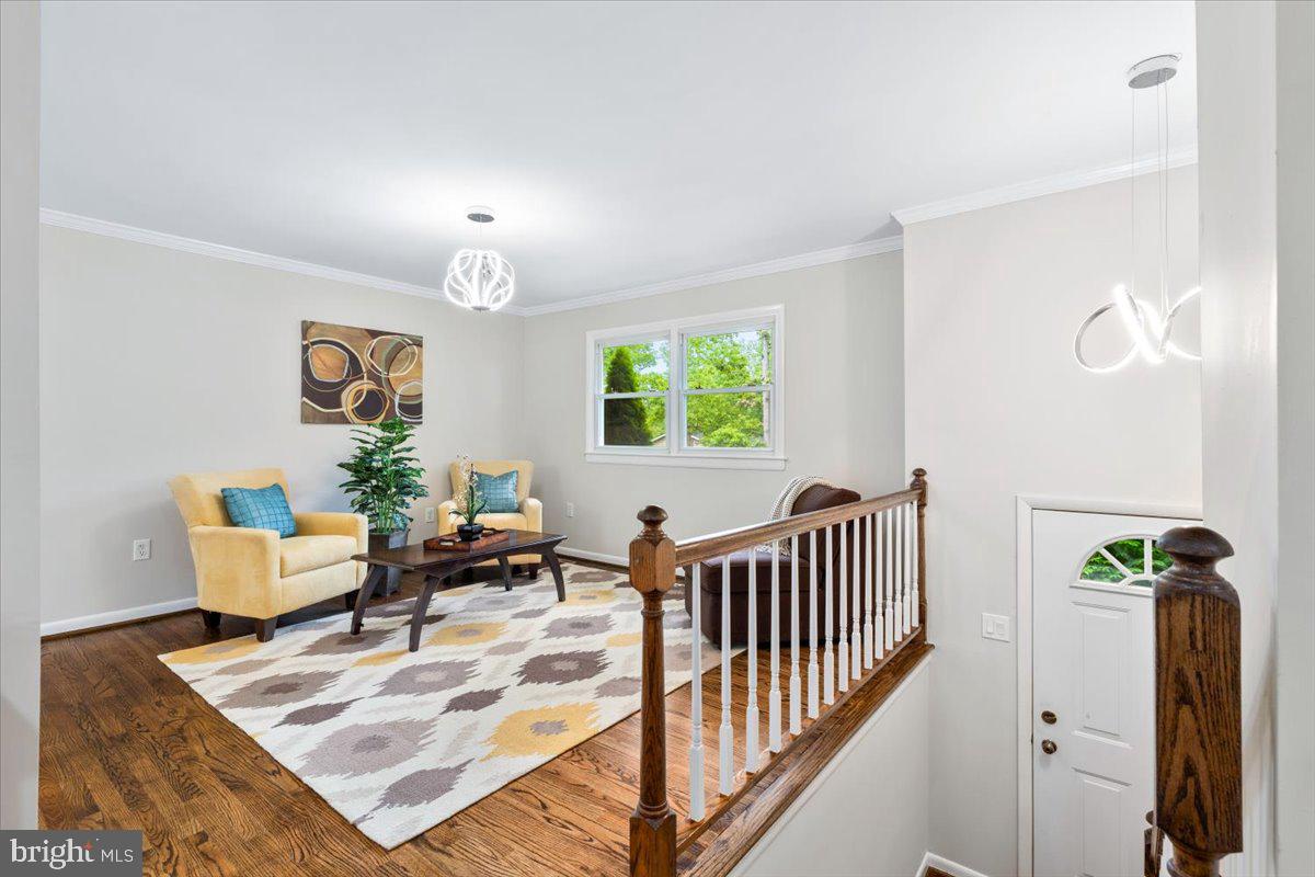 1203 COURTLAND DRIVE