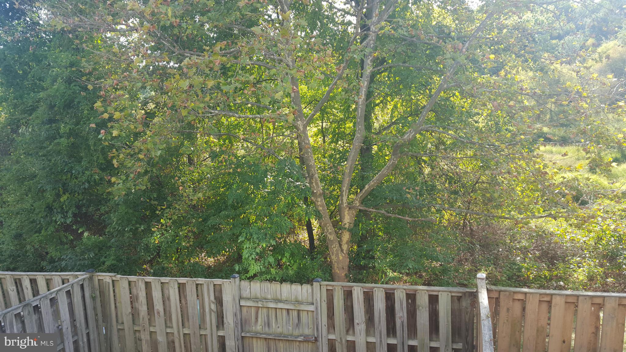 VILLAGES OF MOUNT VERNON - Residential