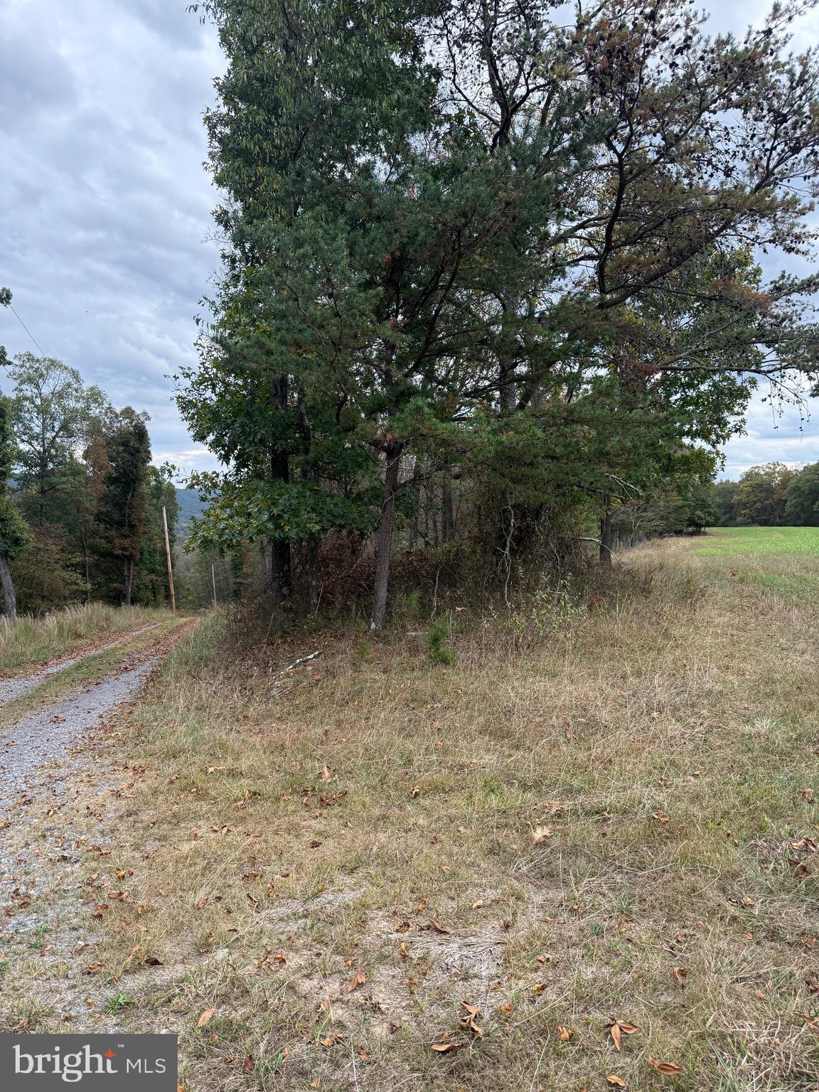 SLIM CHANCE ACRES - Land