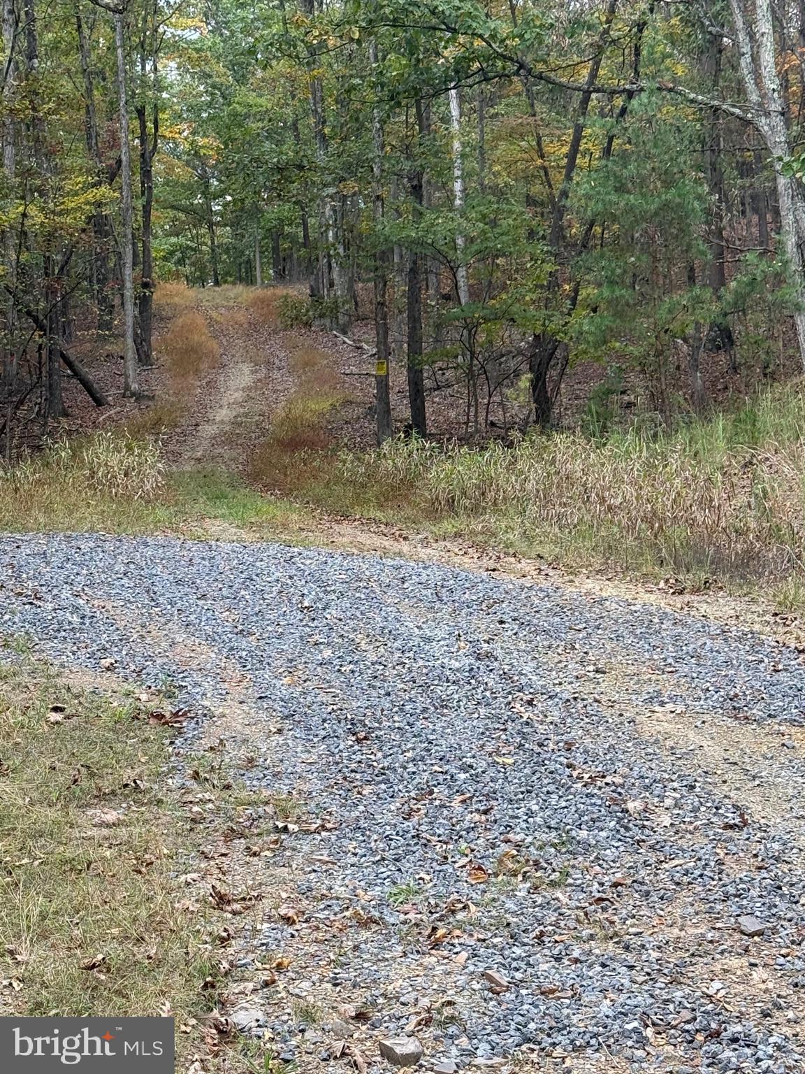 SLIM CHANCE ACRES - Land