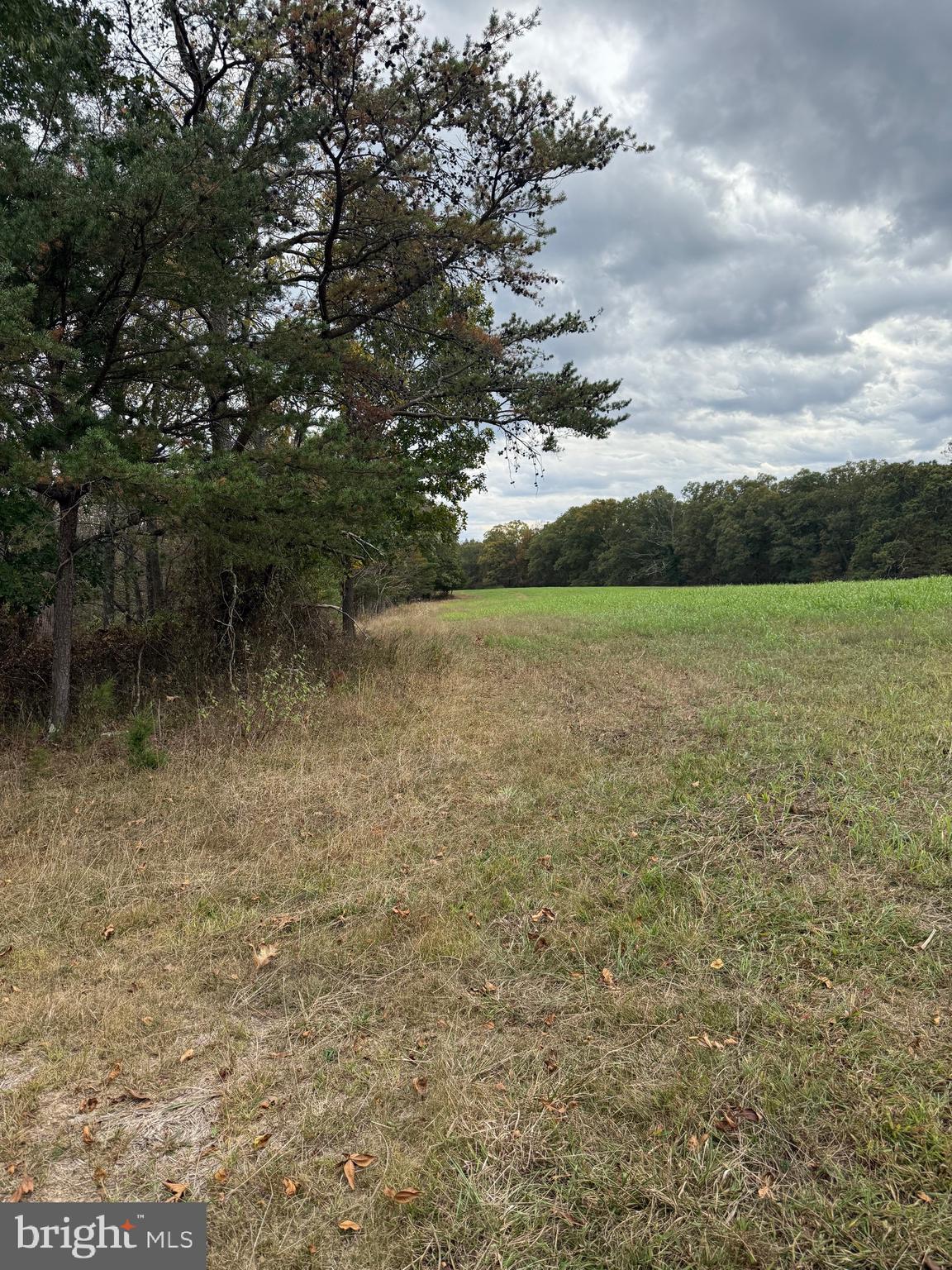 SLIM CHANCE ACRES - Land