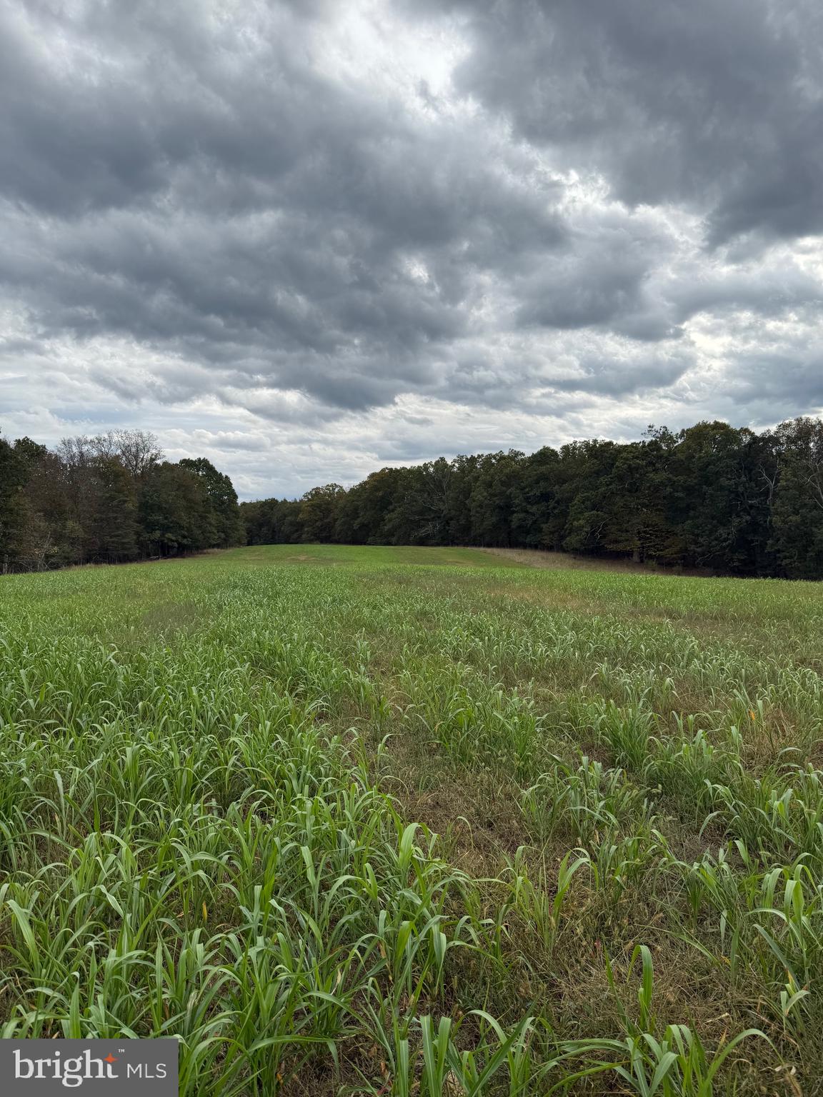 SLIM CHANCE ACRES - Land