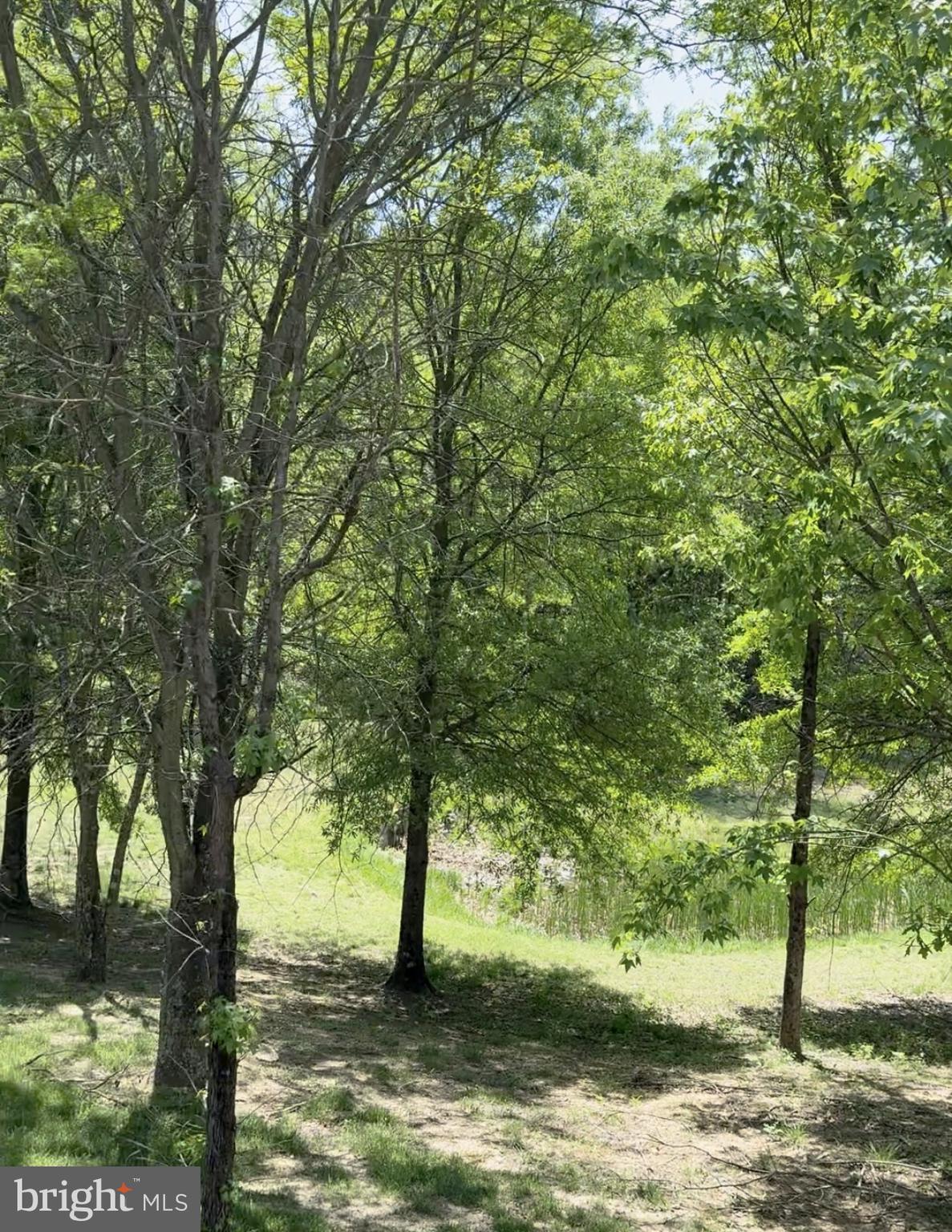 CRISPIN WOODS - Residential Lease