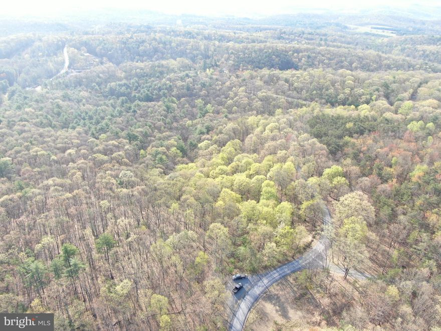 EXCELLENT PROPERTY IN PETERSBURG, PA! This great property is just minutes from State College and within walking distance of Penn State University lands, Rothrock State Forest, and Whipple Dam State Park! Great hunting and some mature timber on the property with approx. 2,200 feet of road frontage. Convenient to Rt 26, 45, and other local roadways! Make this your private getaway! This property will be offered at online only auction on Wednesday May 21, 2025 @ 3:00pm. The List price in no way represents a minimum, starting, or acceptable bid.
