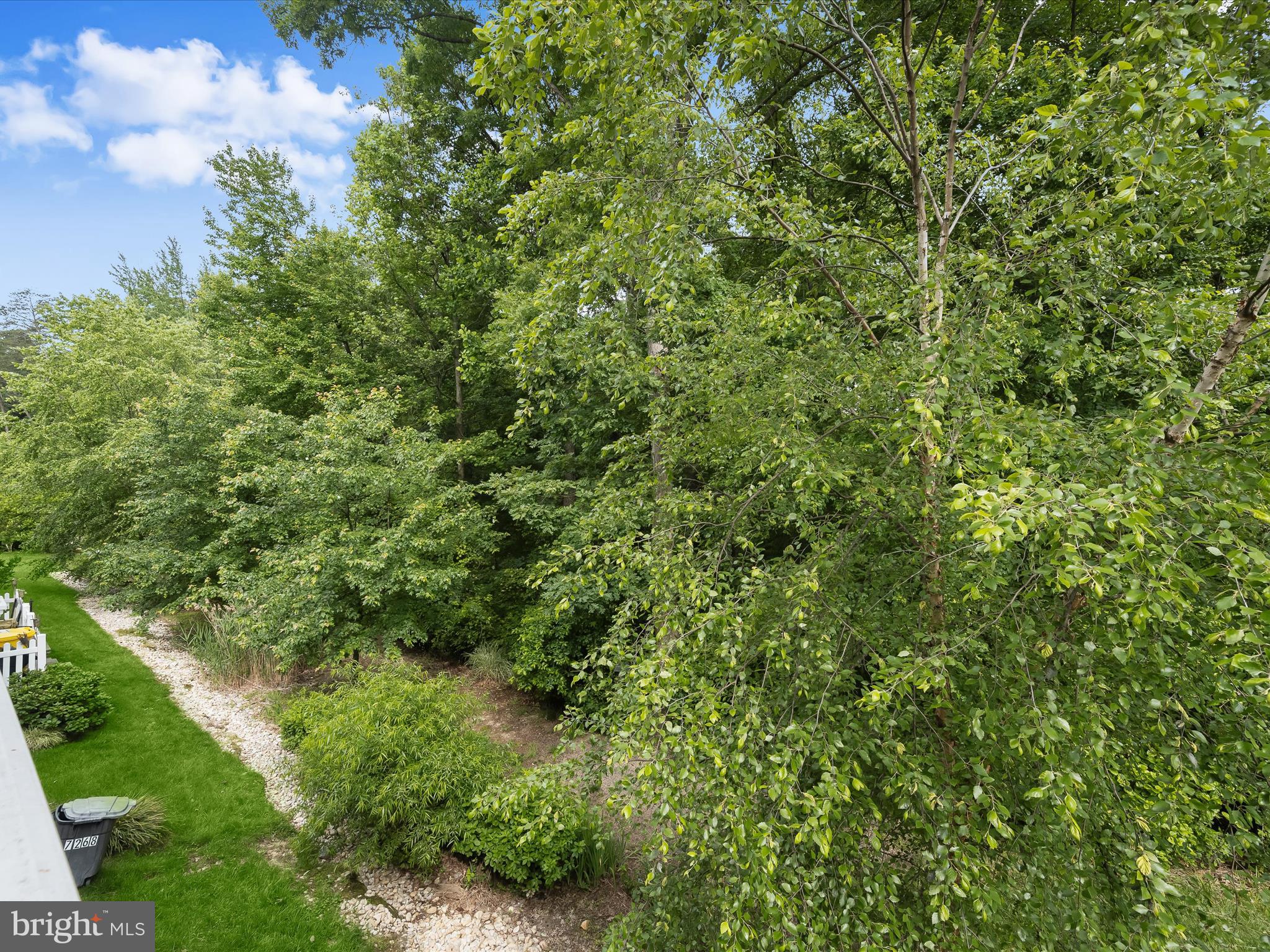 DORCHESTER WOODS - Residential