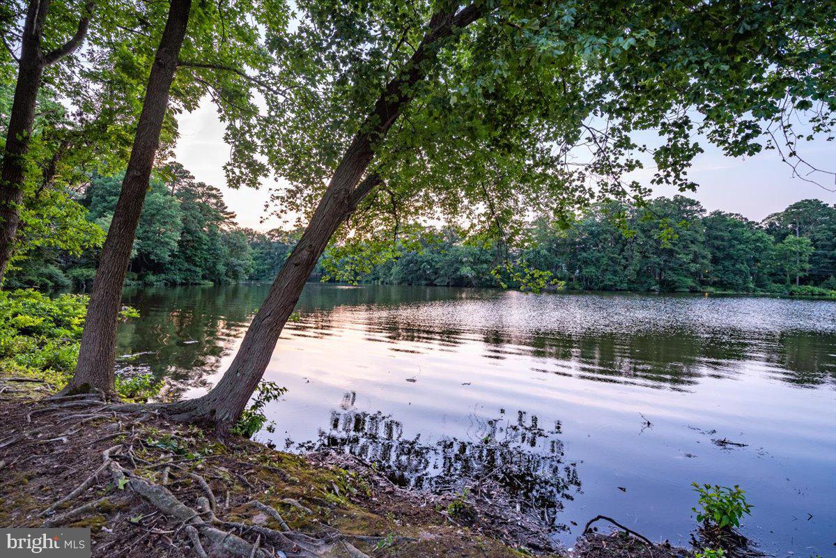 MEADOWS NEIGHBORHOOD - Residential