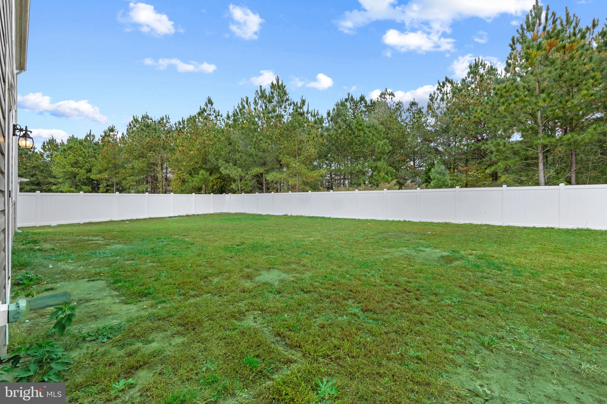 SASSAFRAS MEADOWS - Residential